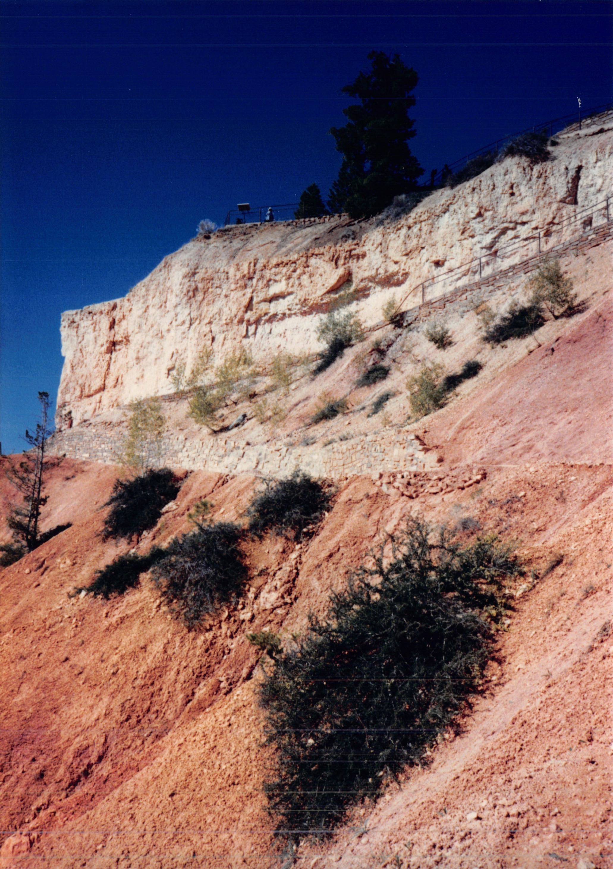 1987c_029.jpg