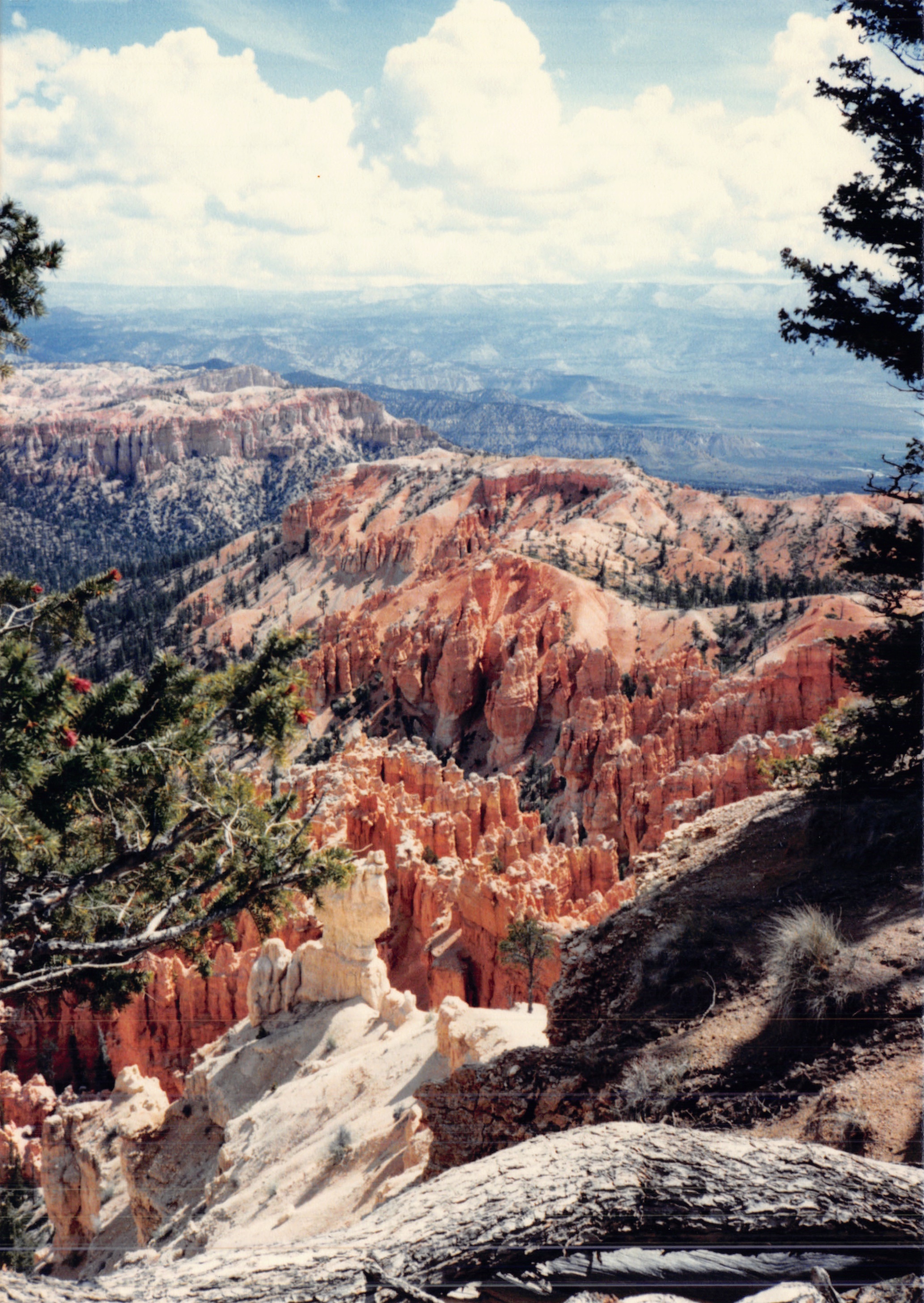 1987c_031.jpg