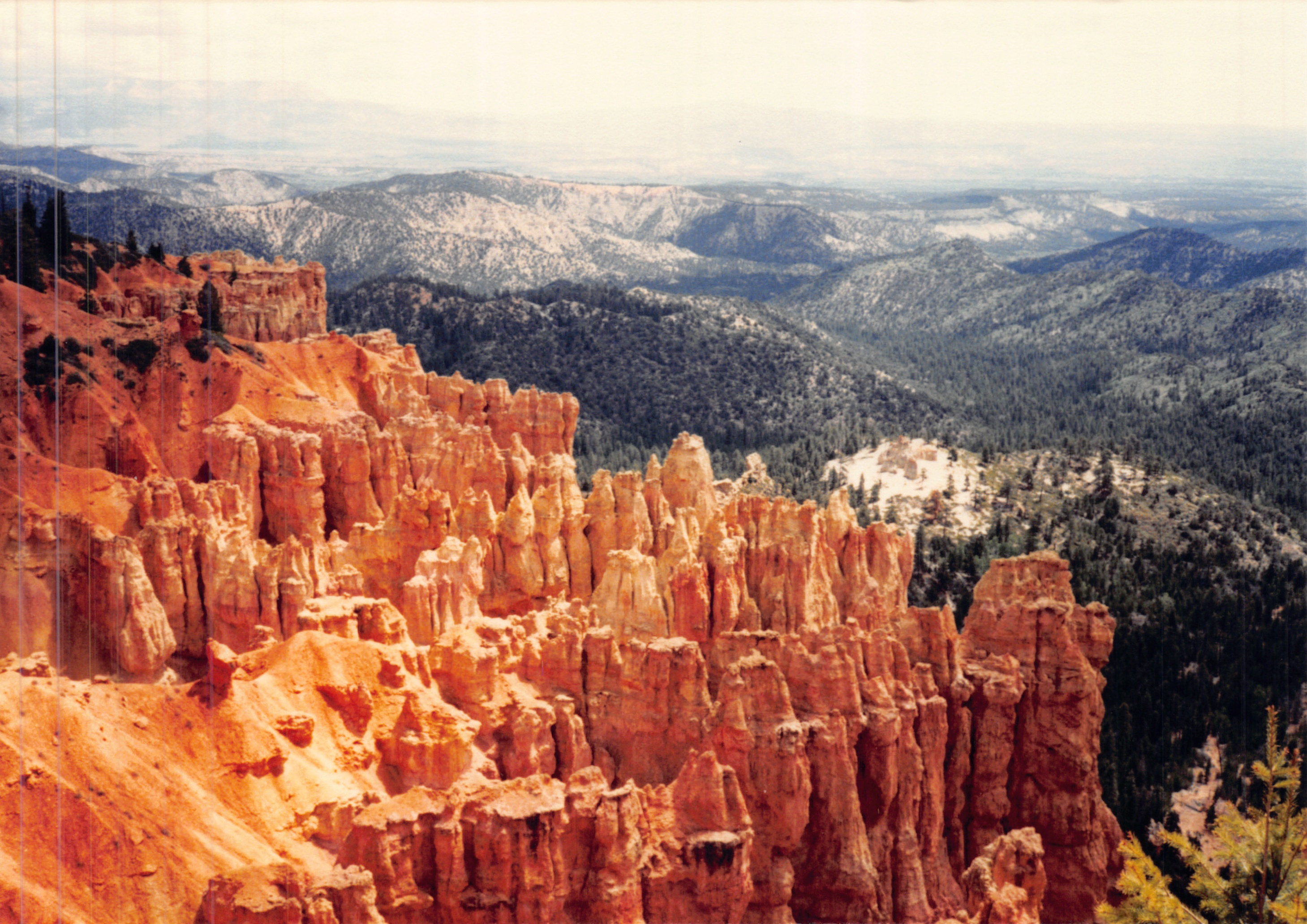 1987c_034.jpg