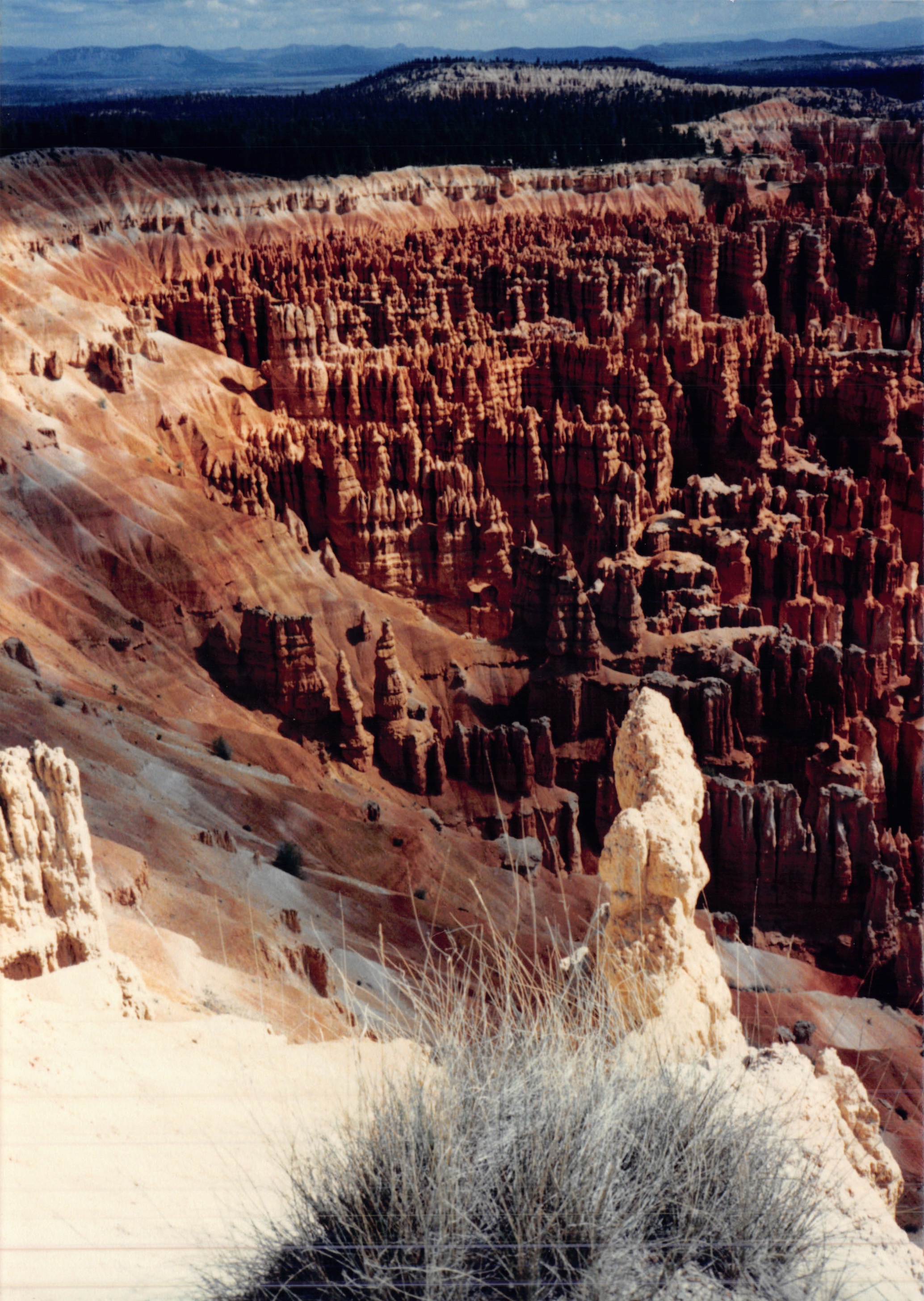 1987c_037.jpg