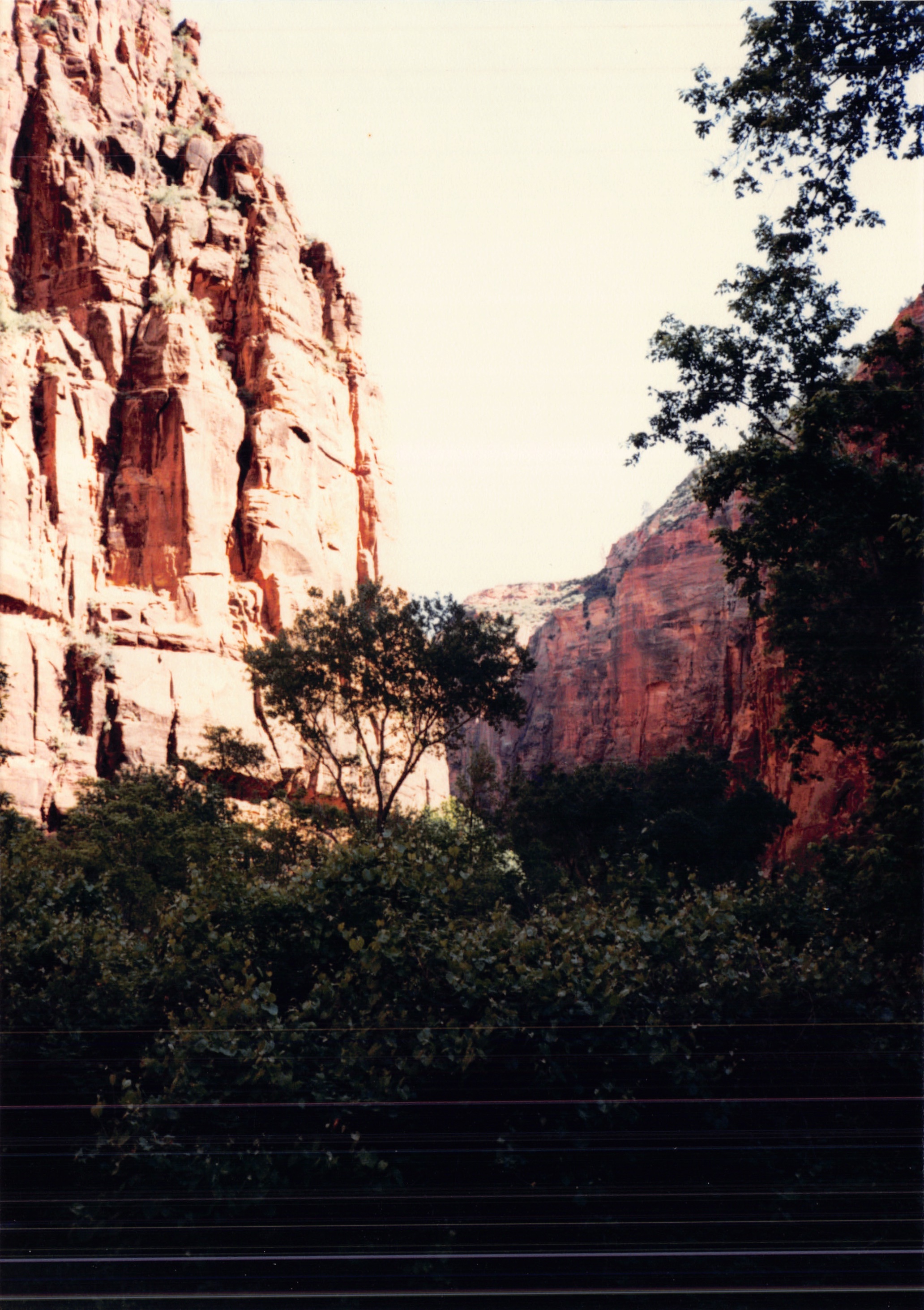 1987c_043.jpg