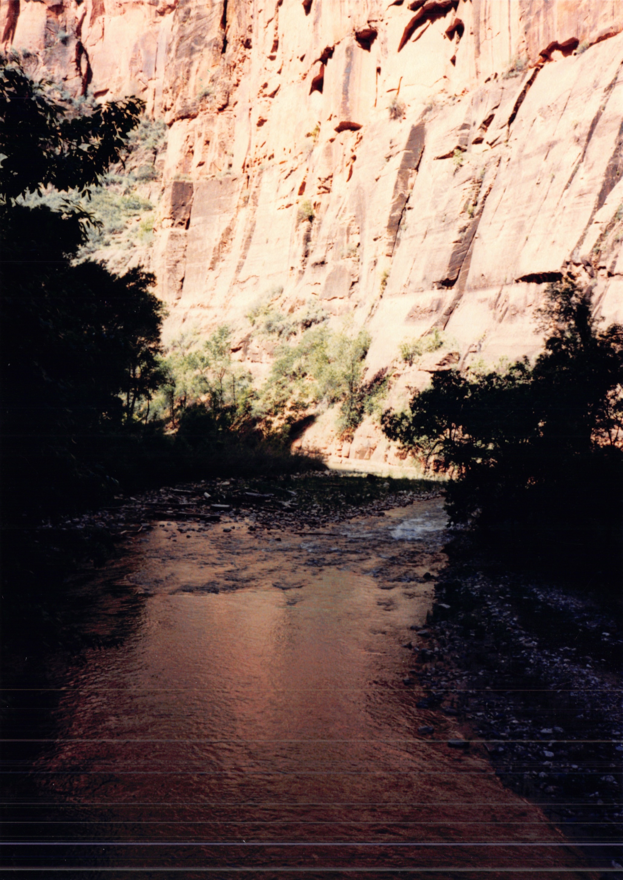 1987c_045.jpg