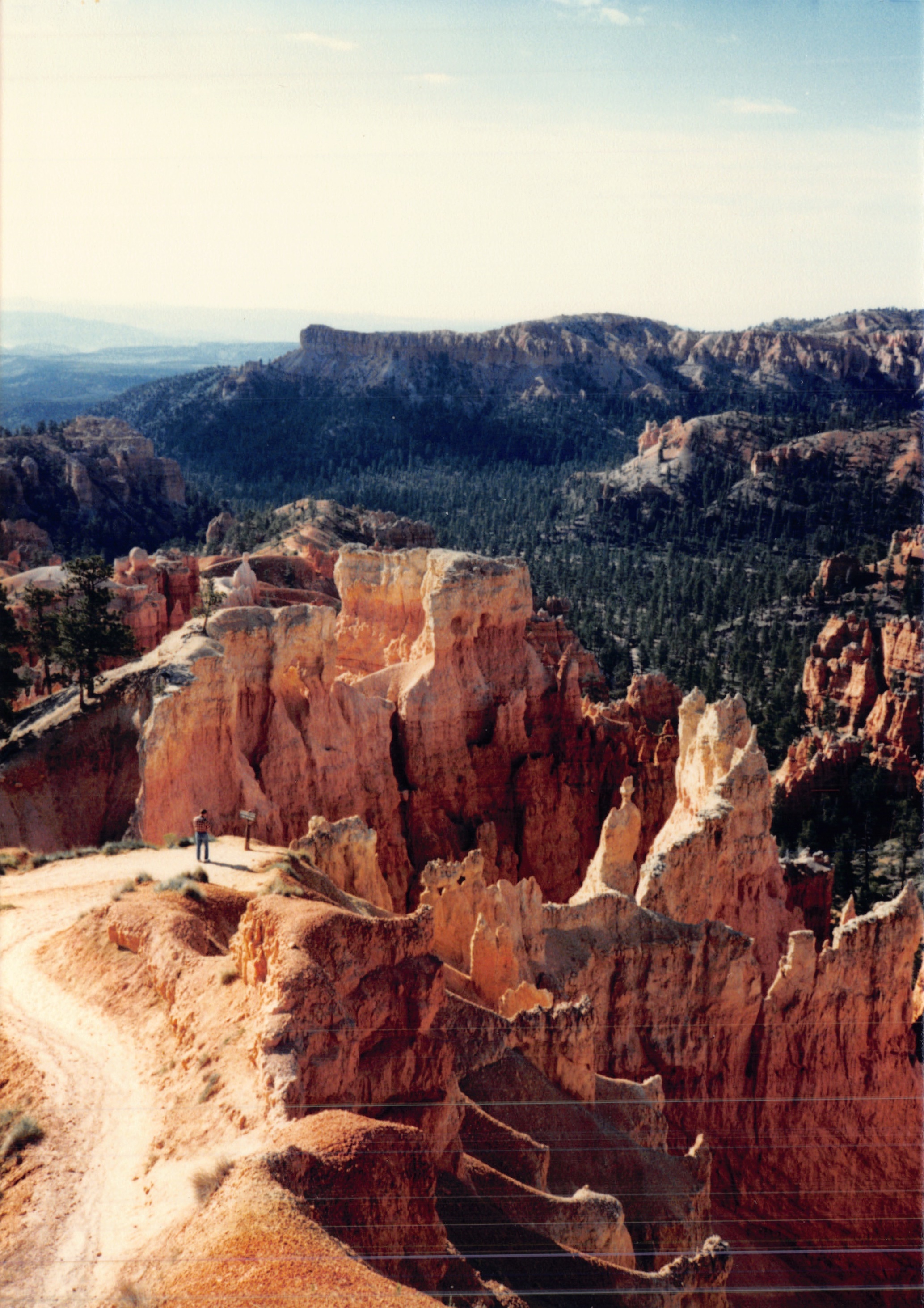 1987c_047.jpg