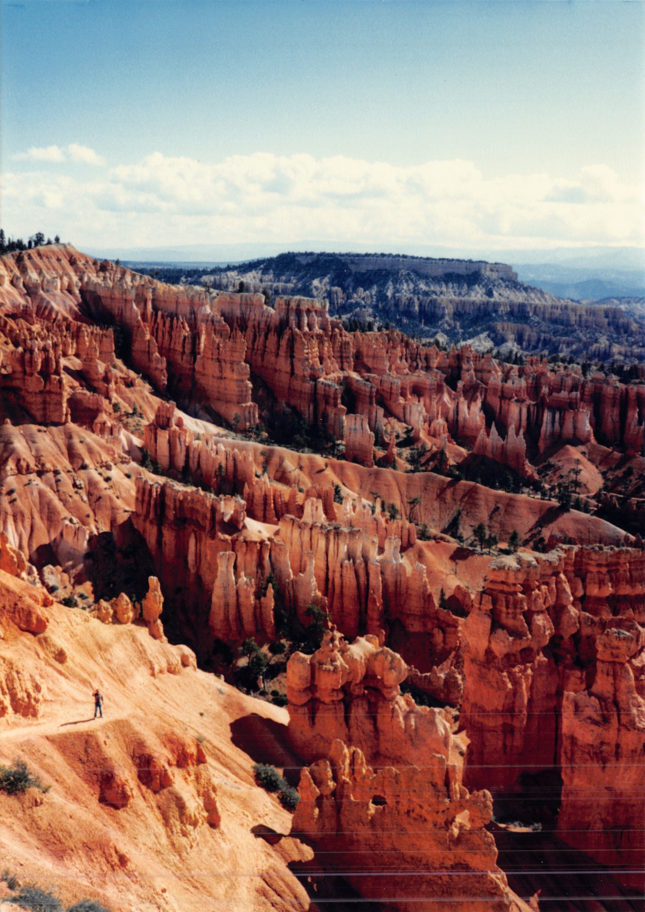 1987c_051.jpg