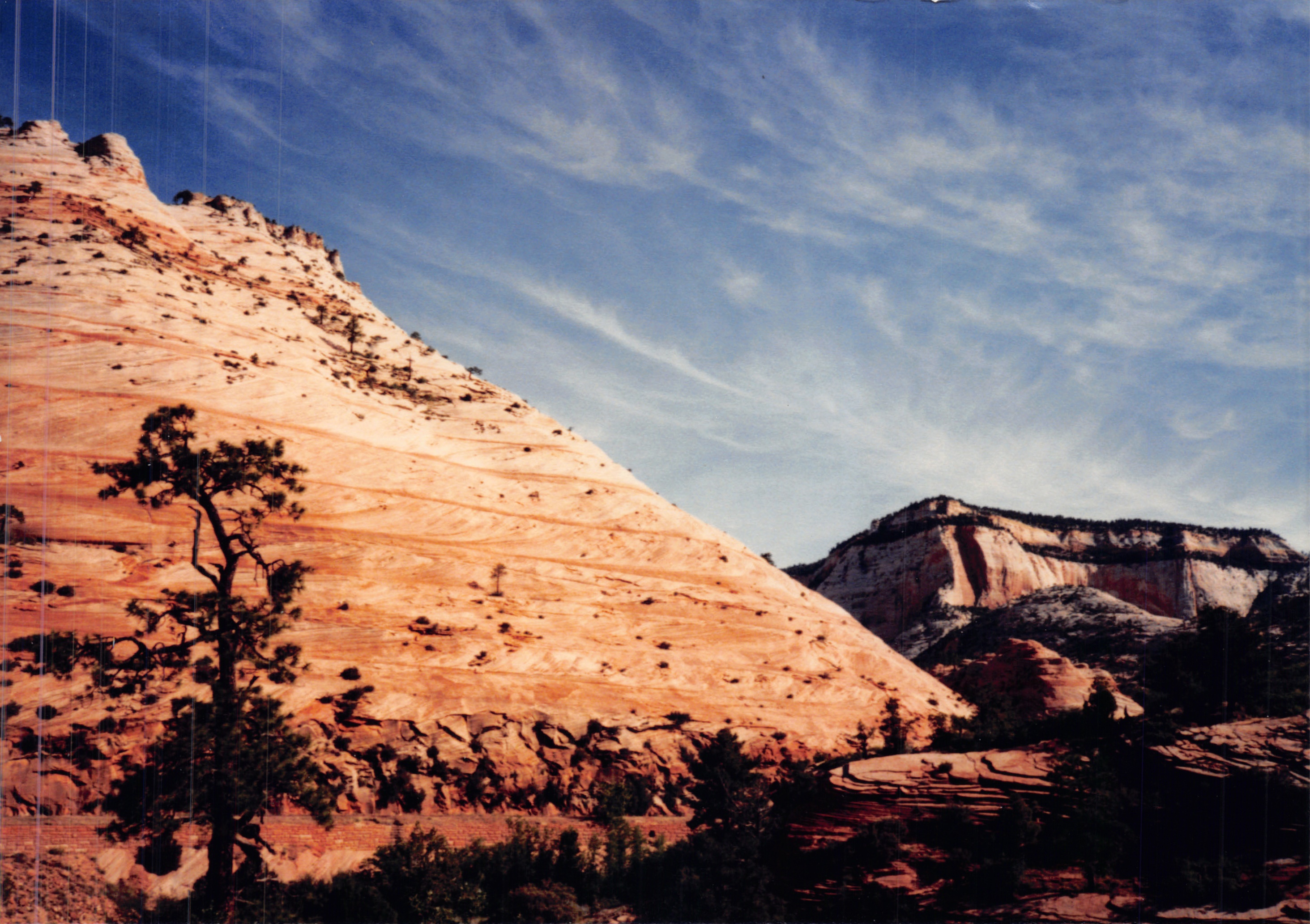1987c_055.jpg