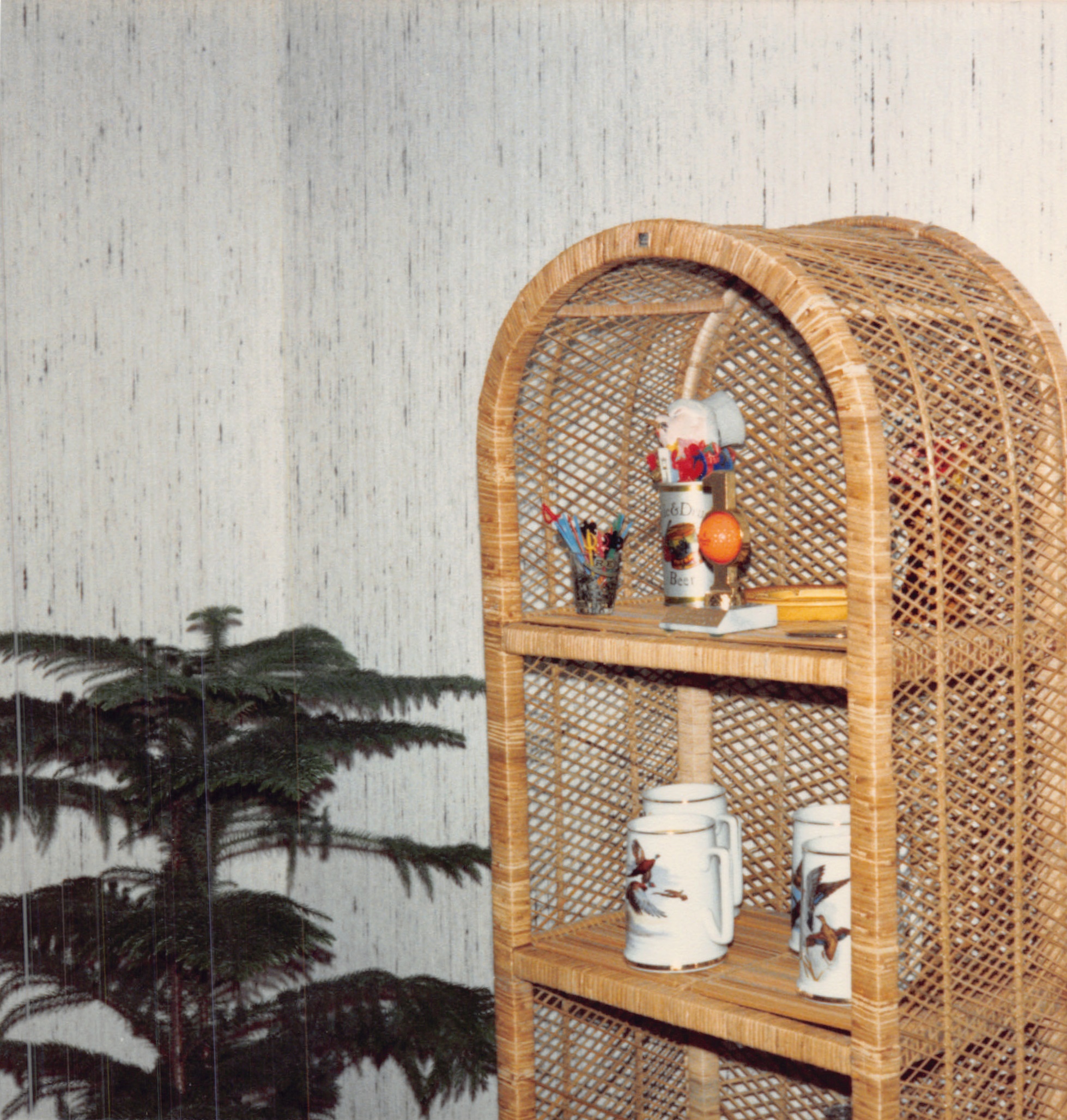 1987c_096.jpg