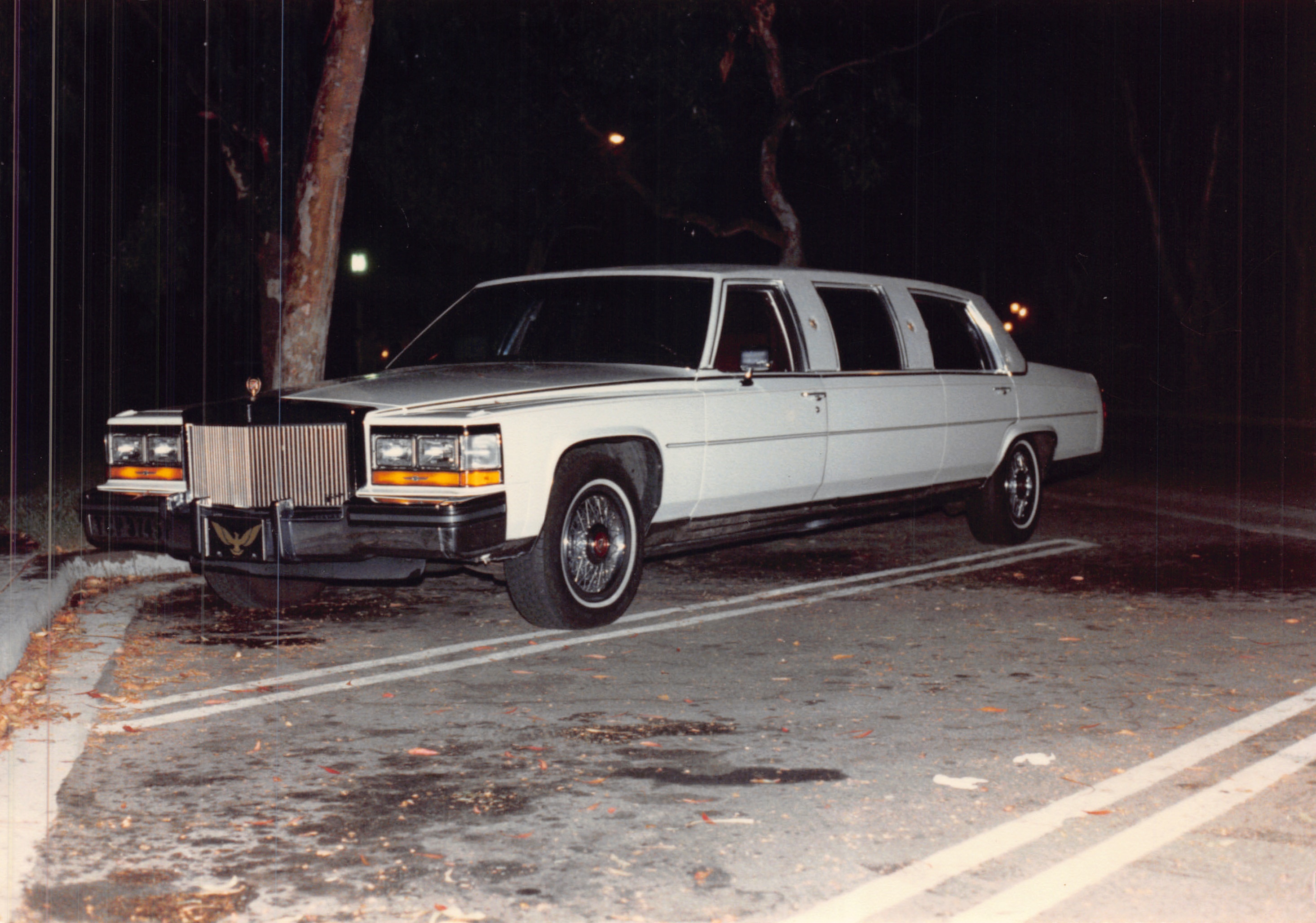 1987d_163.jpg