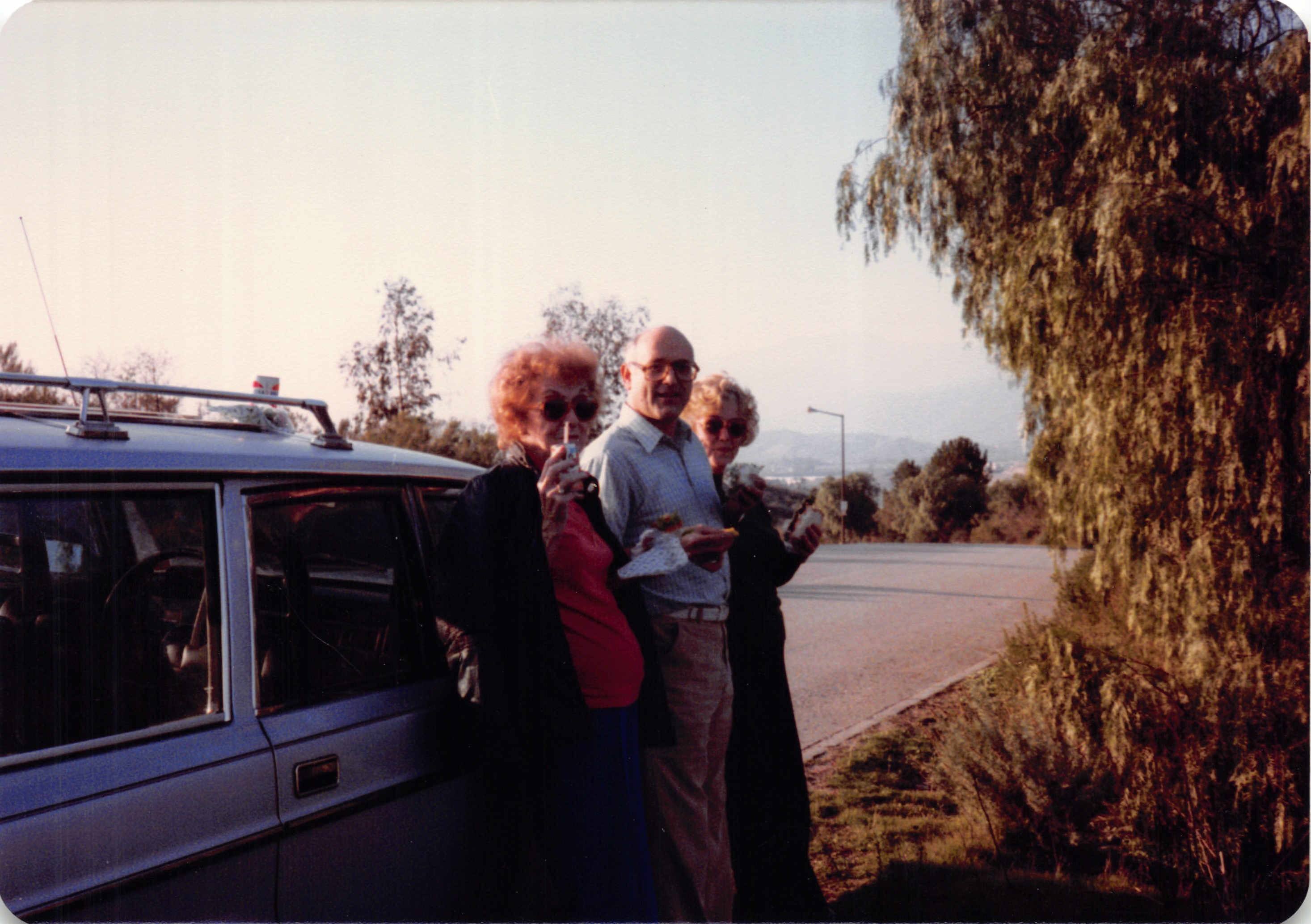 1987d_193a_120.jpg