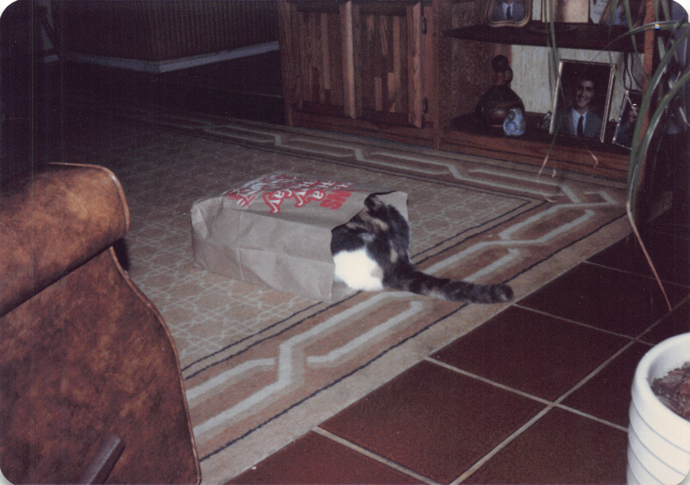 1987d_193a_124.jpg