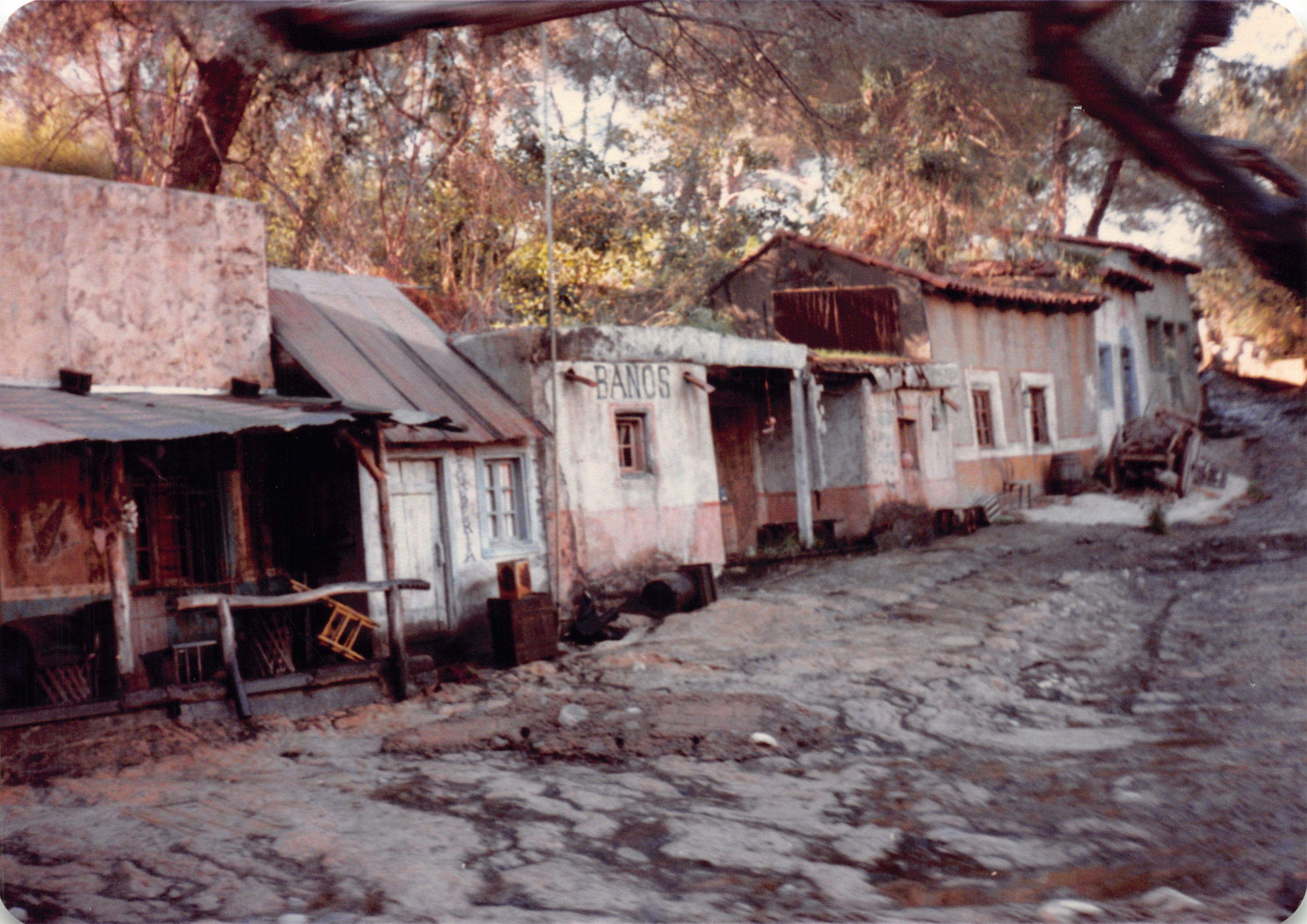1987d_195_128.jpg