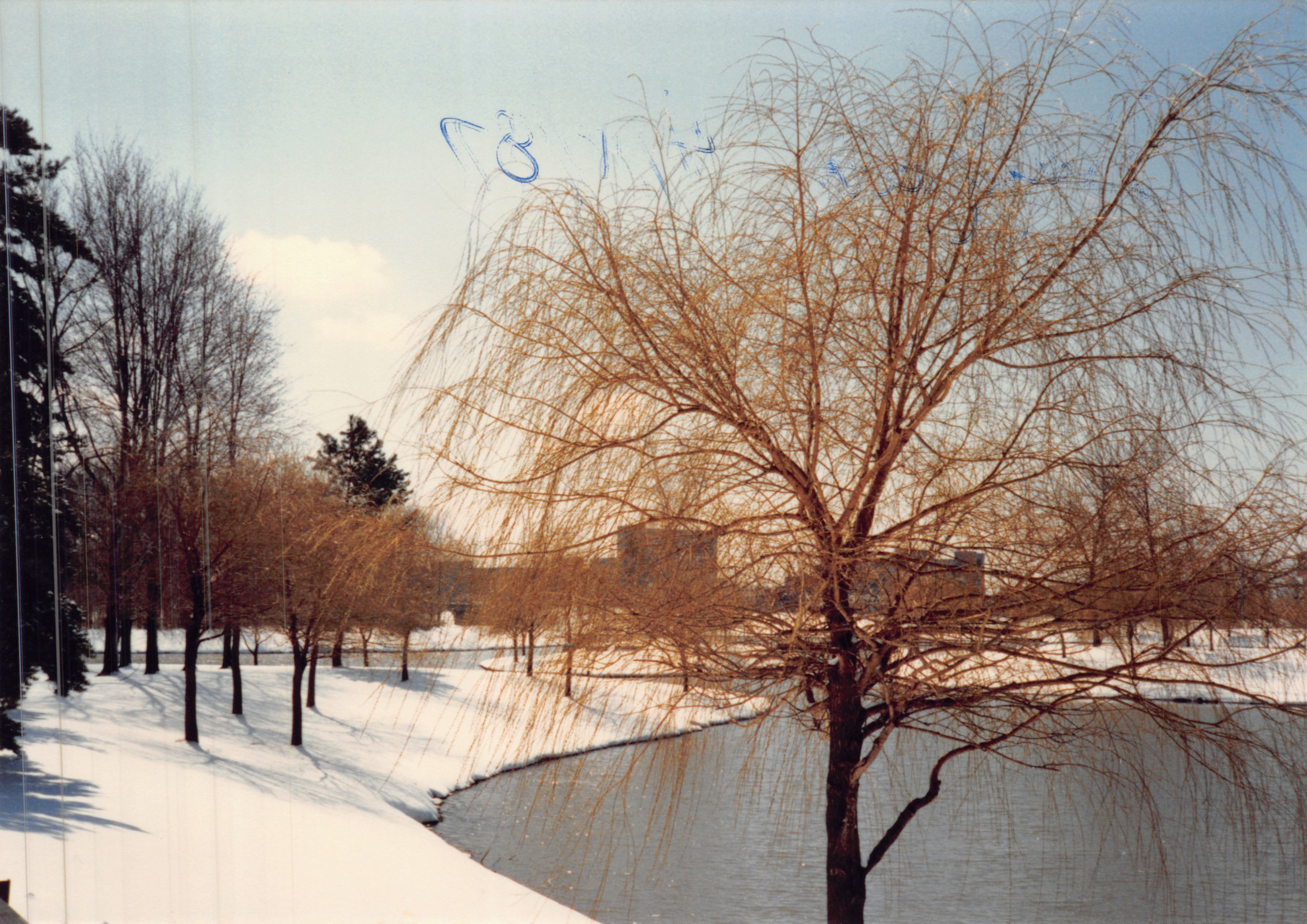 1987e_1011.jpg