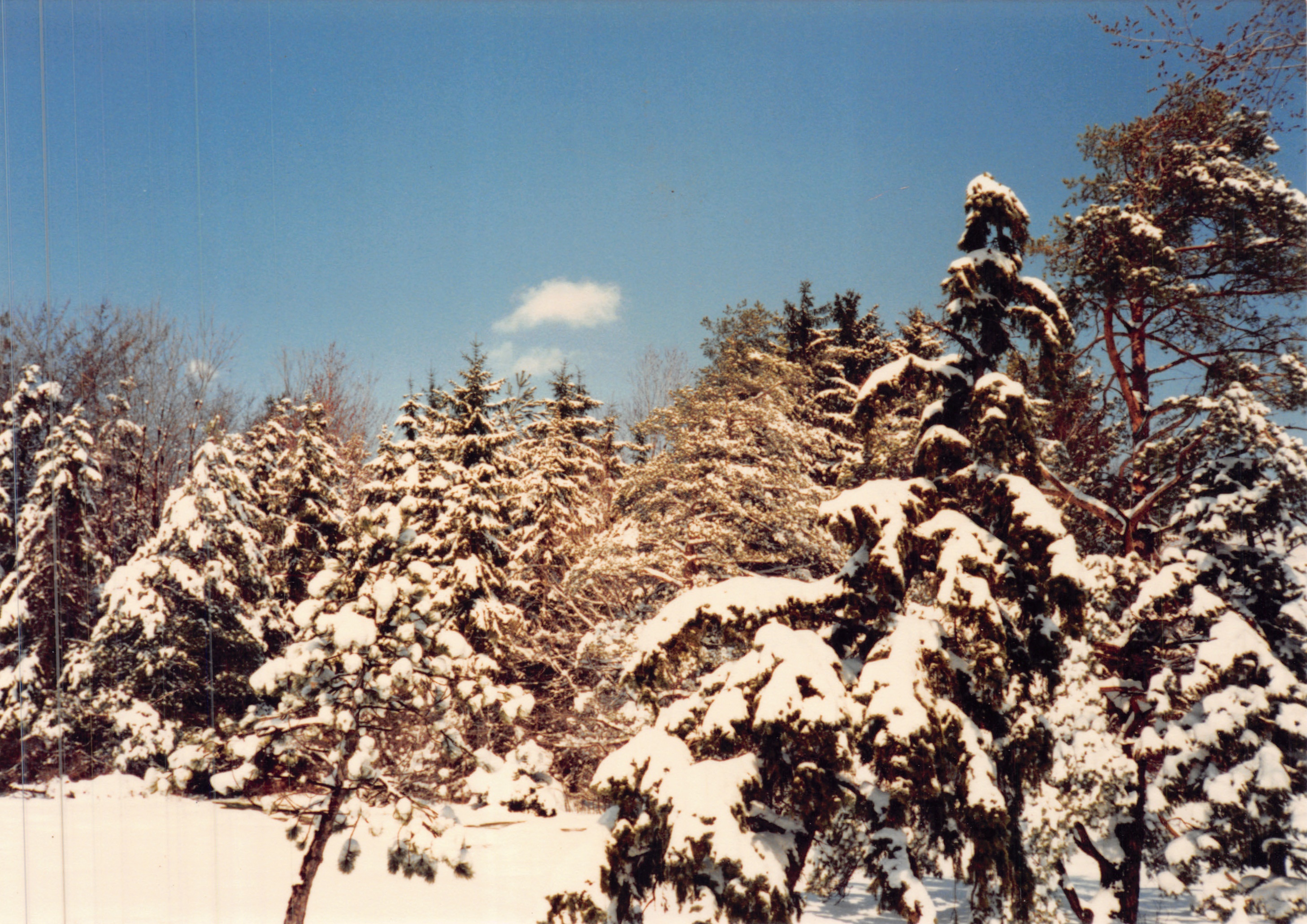 1987e_1015.jpg