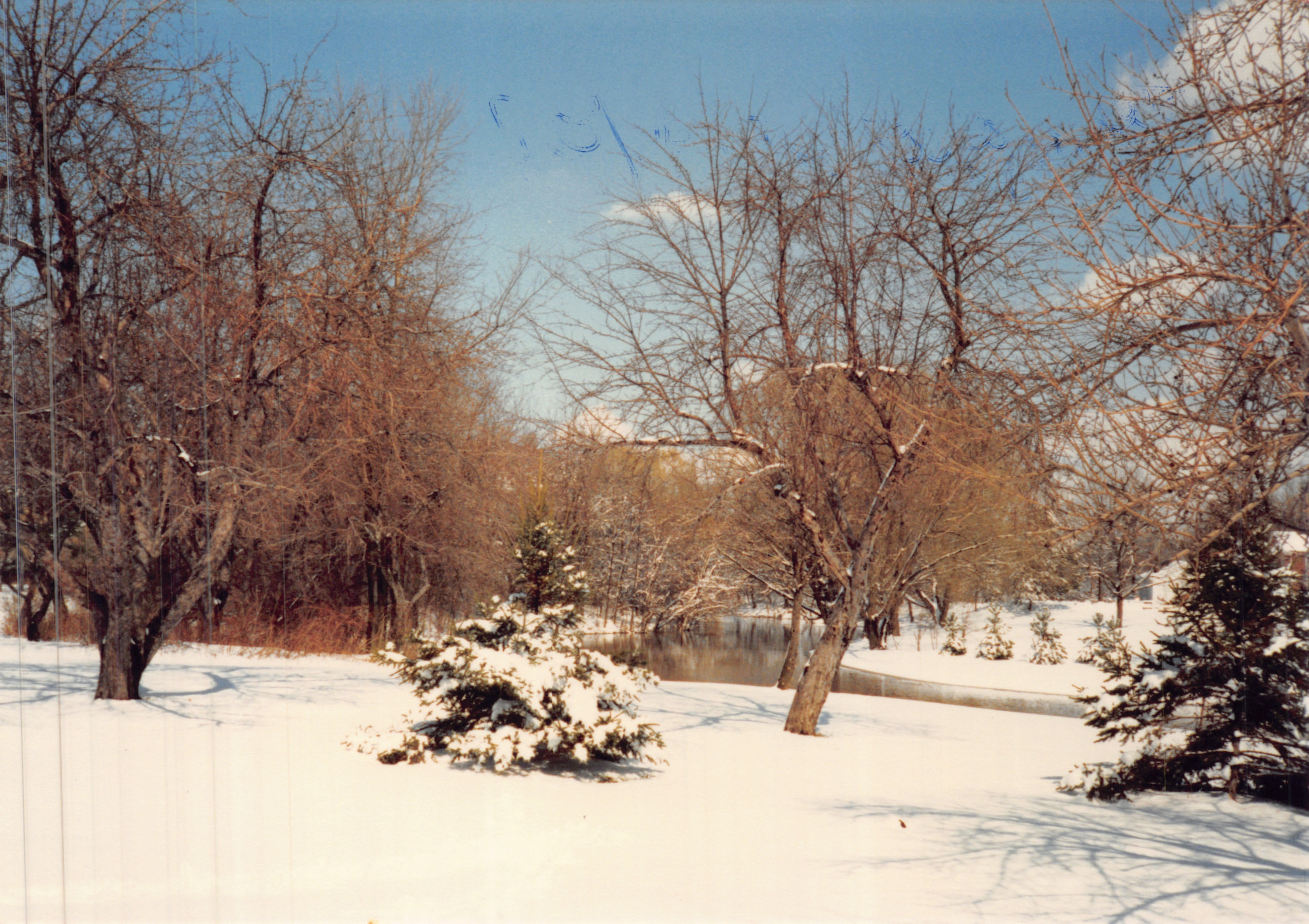 1987e_1019.jpg