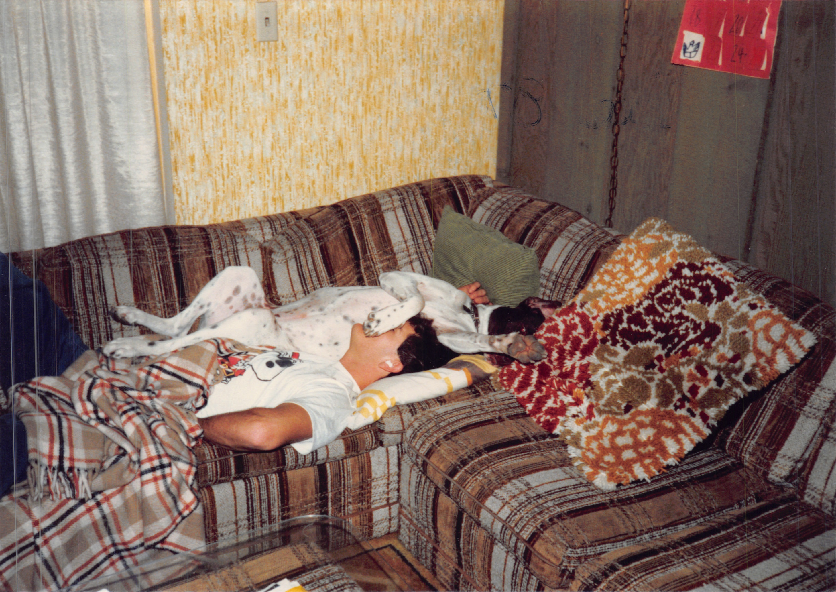 1987e_1021.jpg