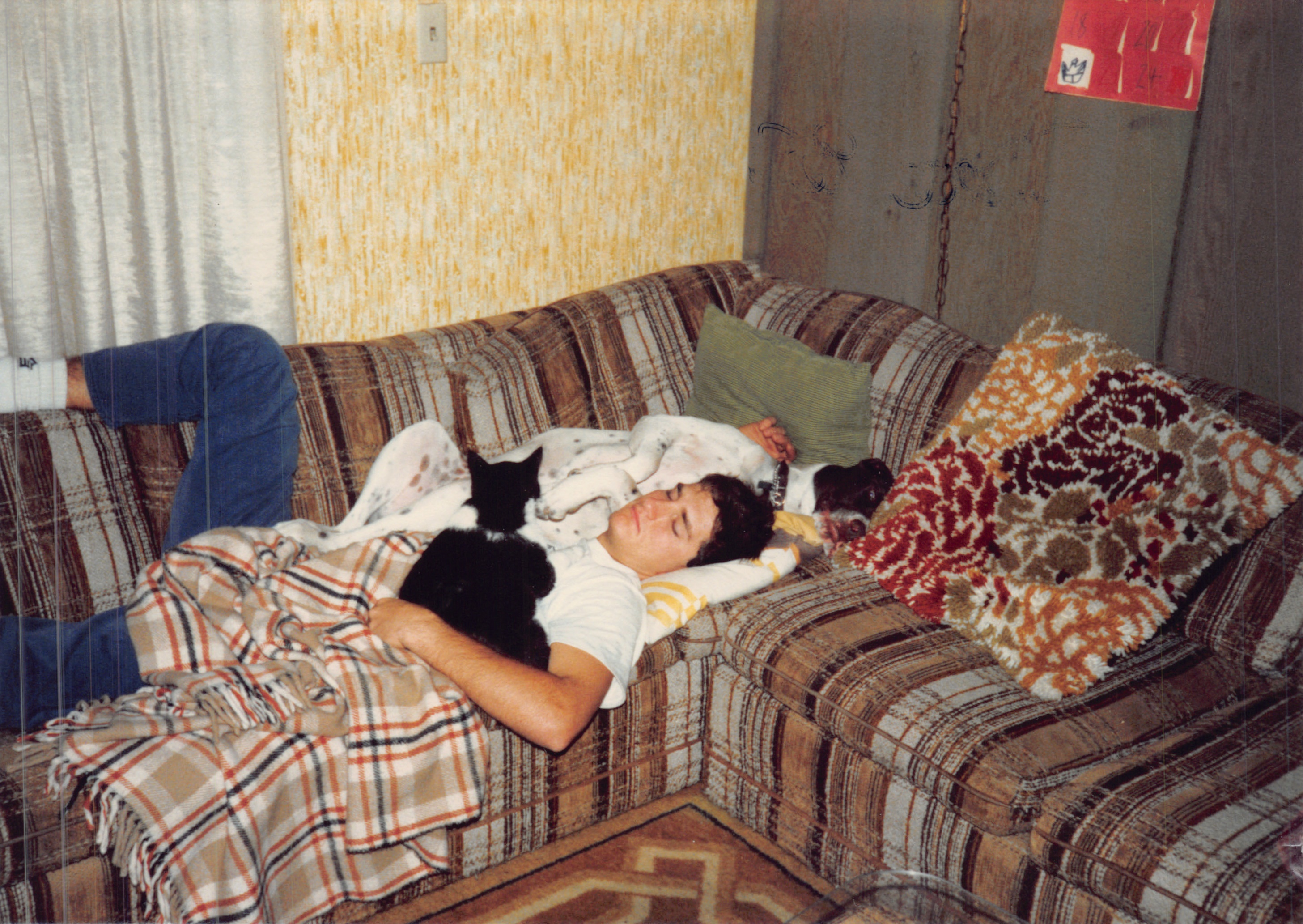 1987e_1027.jpg