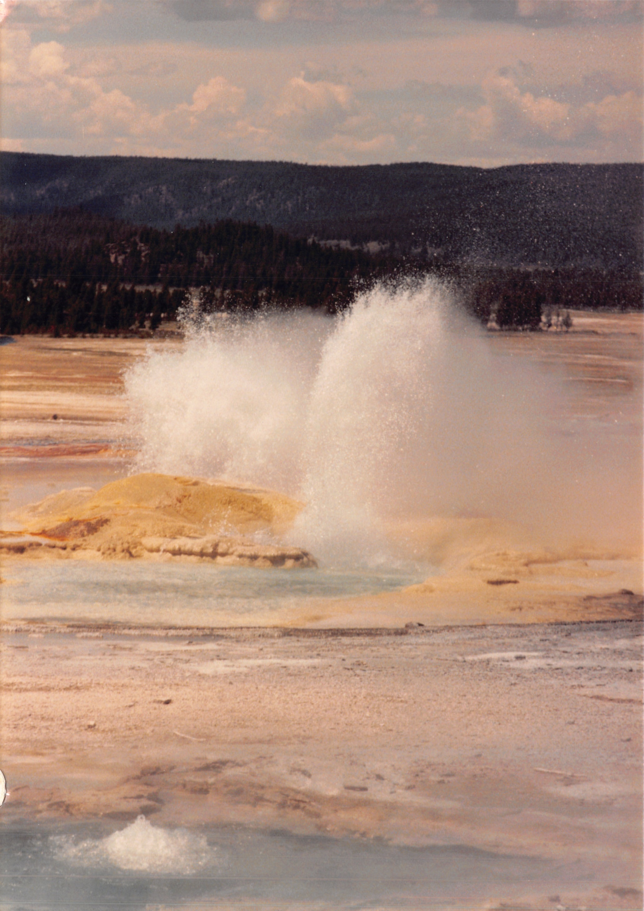 1988_212.jpg