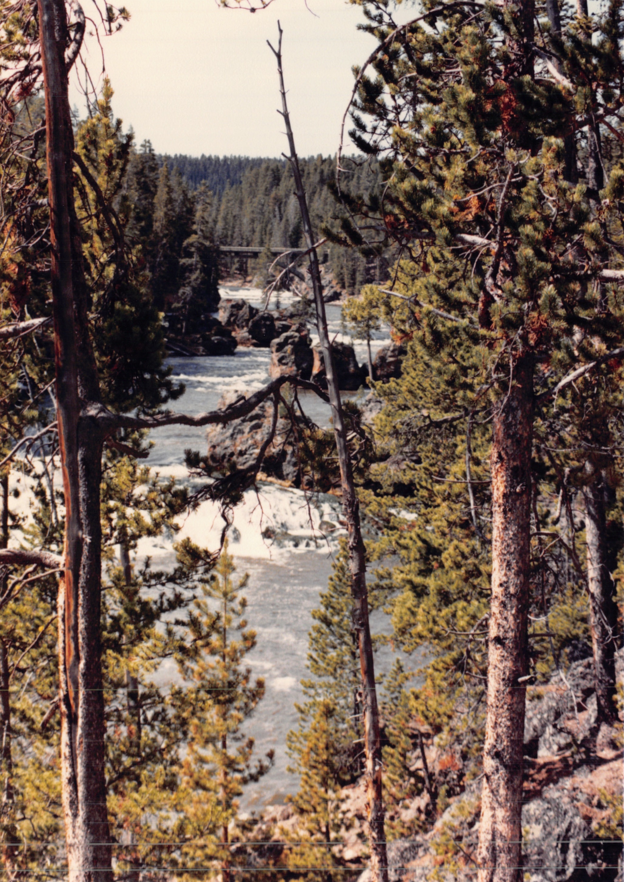 1988_215.jpg