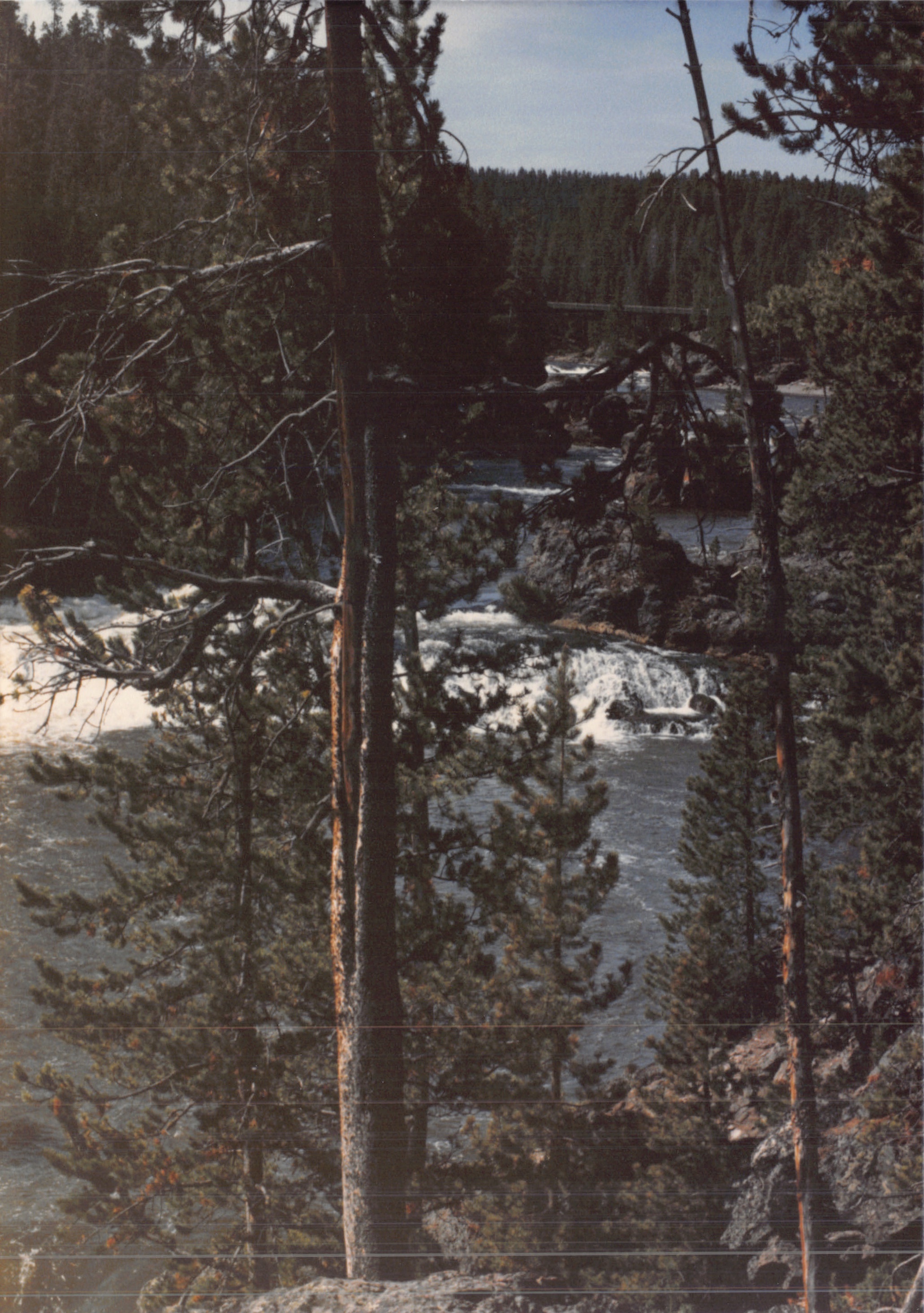 1988_217.jpg