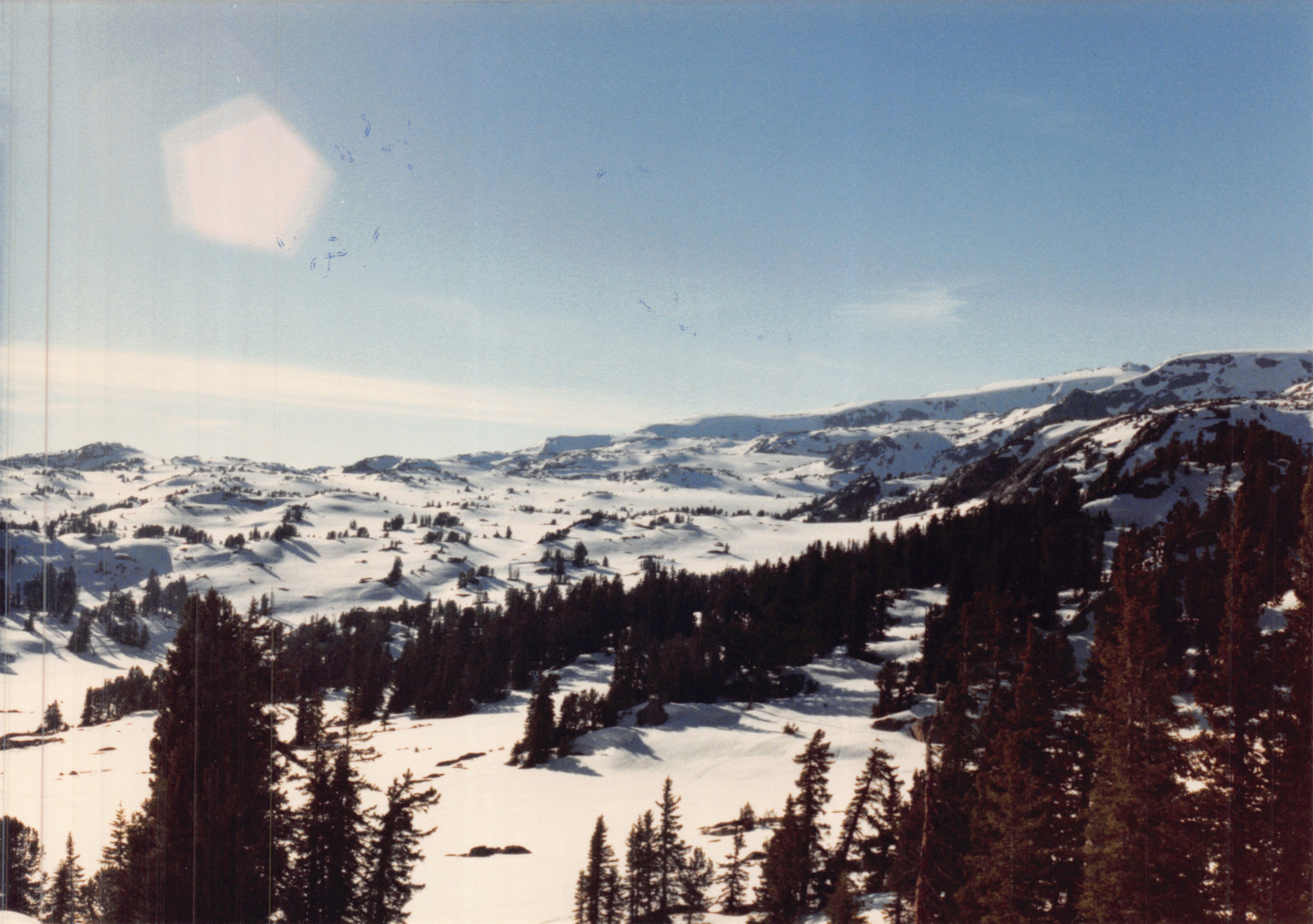 1988_218.jpg