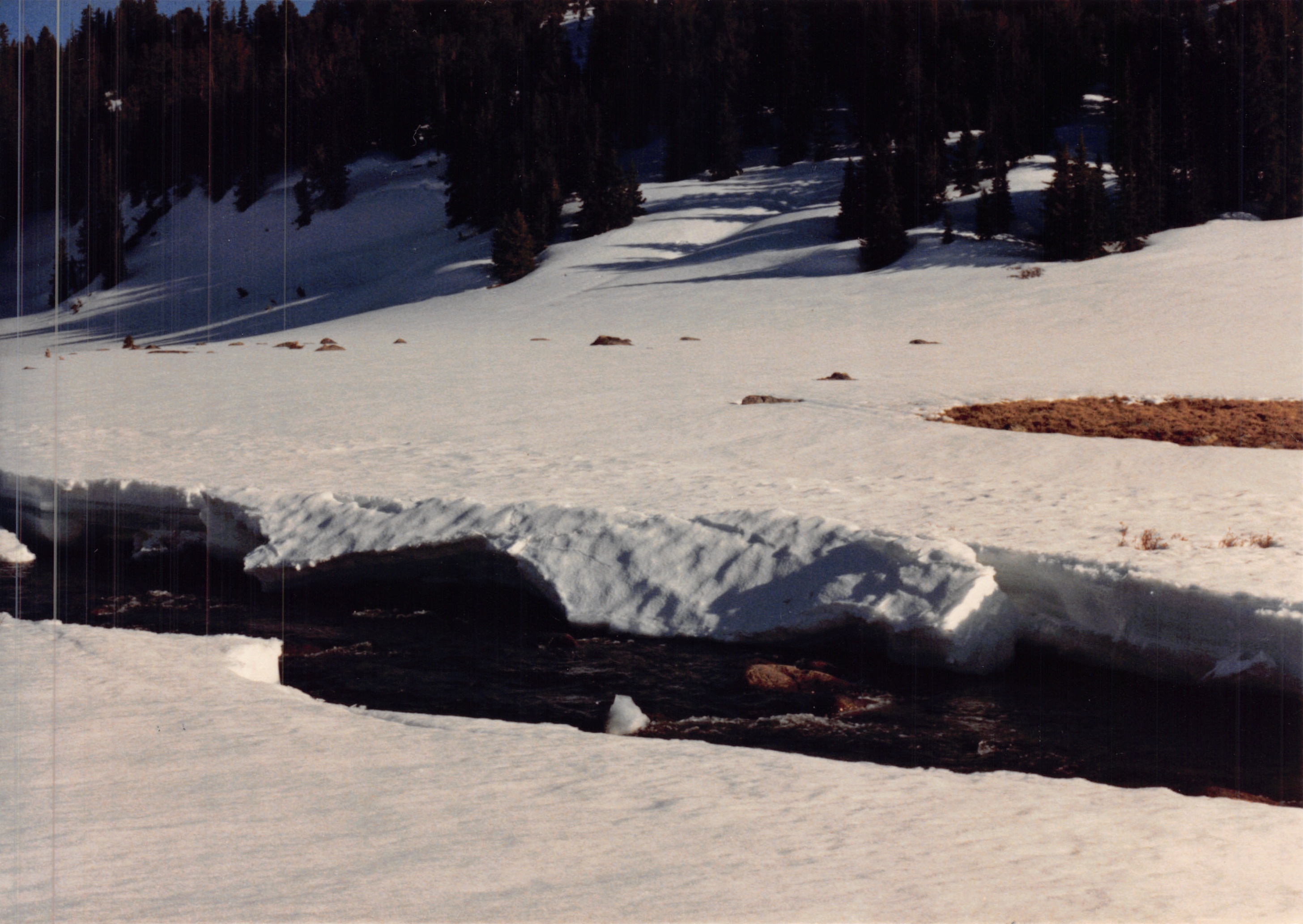 1988_220.jpg