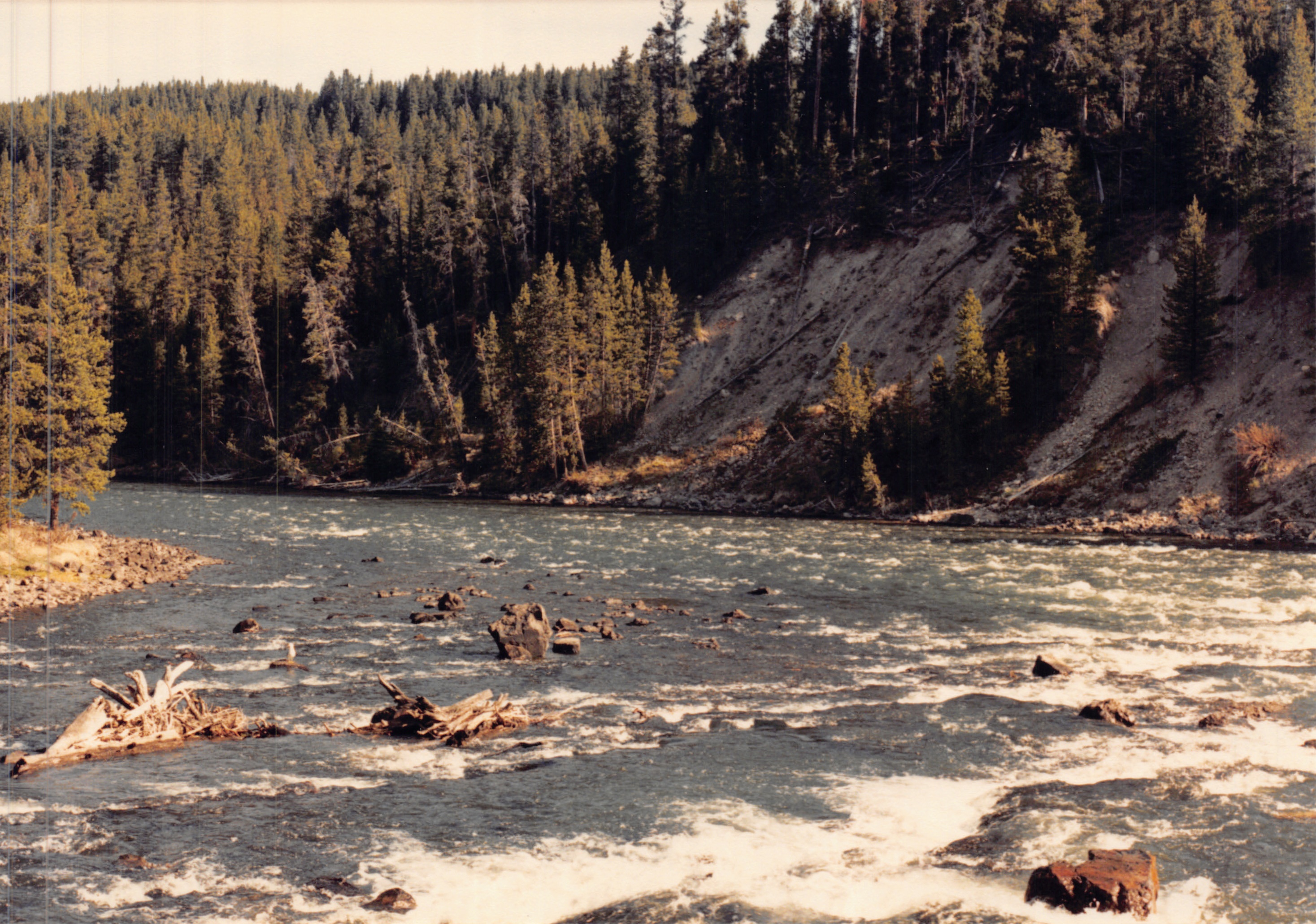 1988_222.jpg