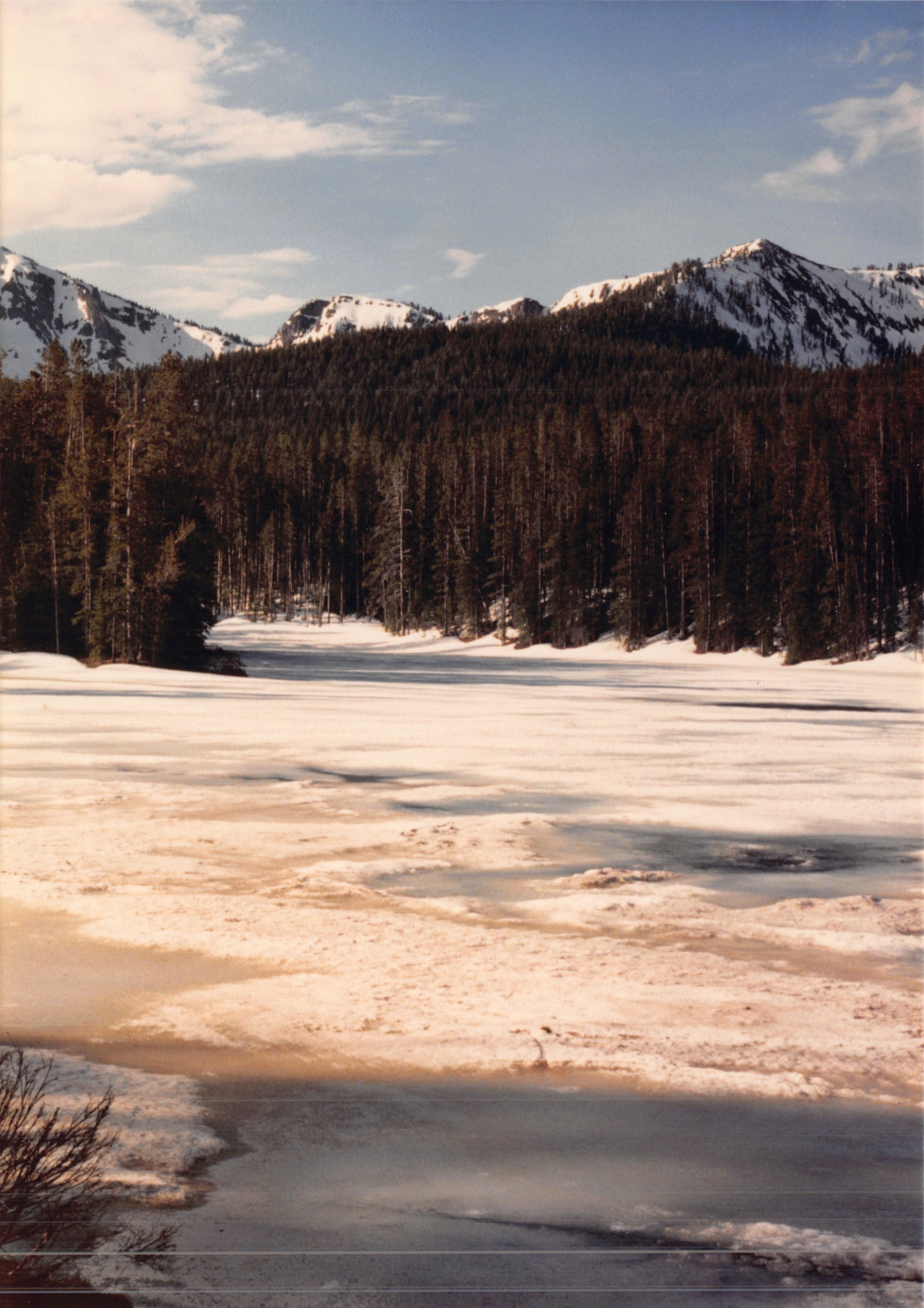 1988_224.jpg
