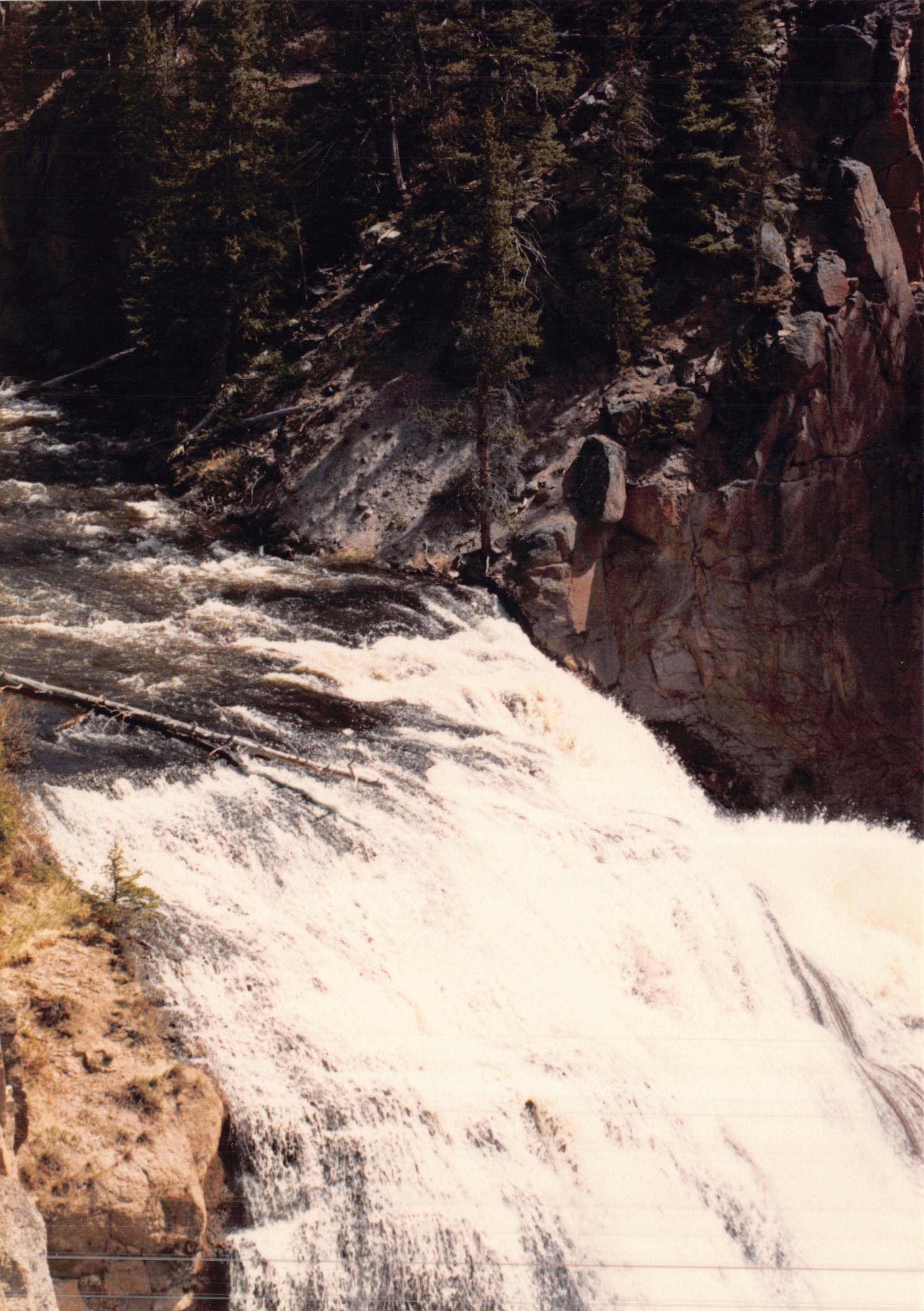 1988_225.jpg