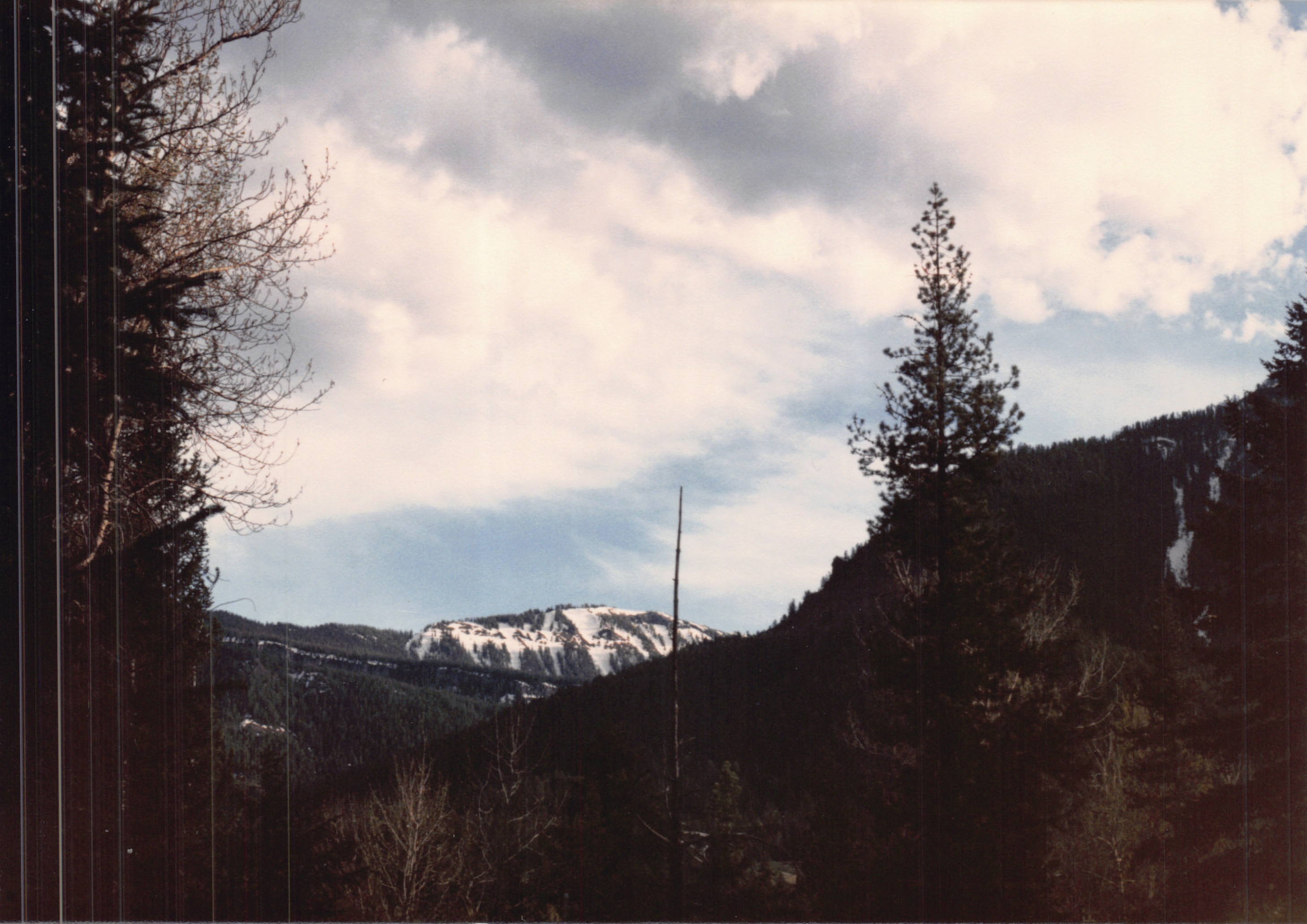 1988_226.jpg