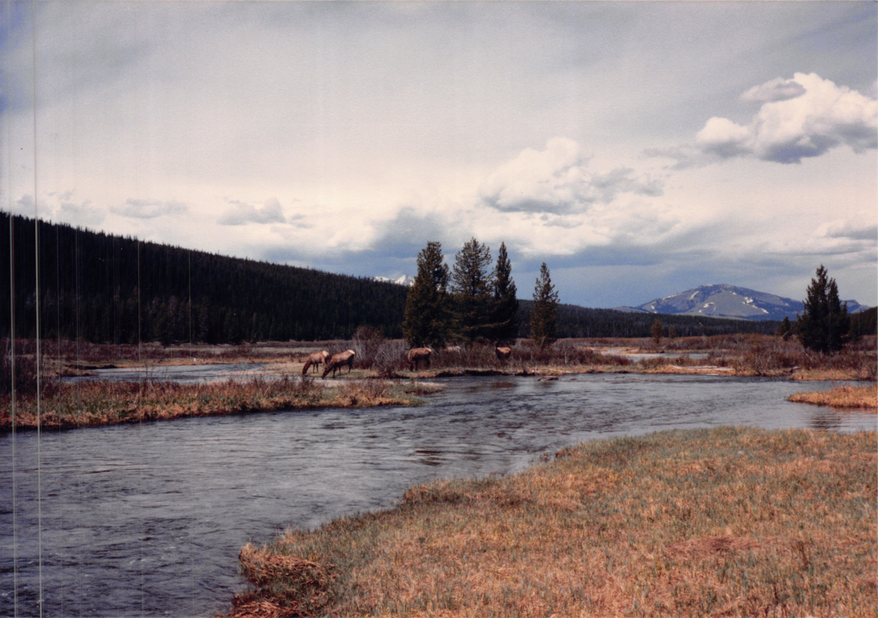 1988_230.jpg
