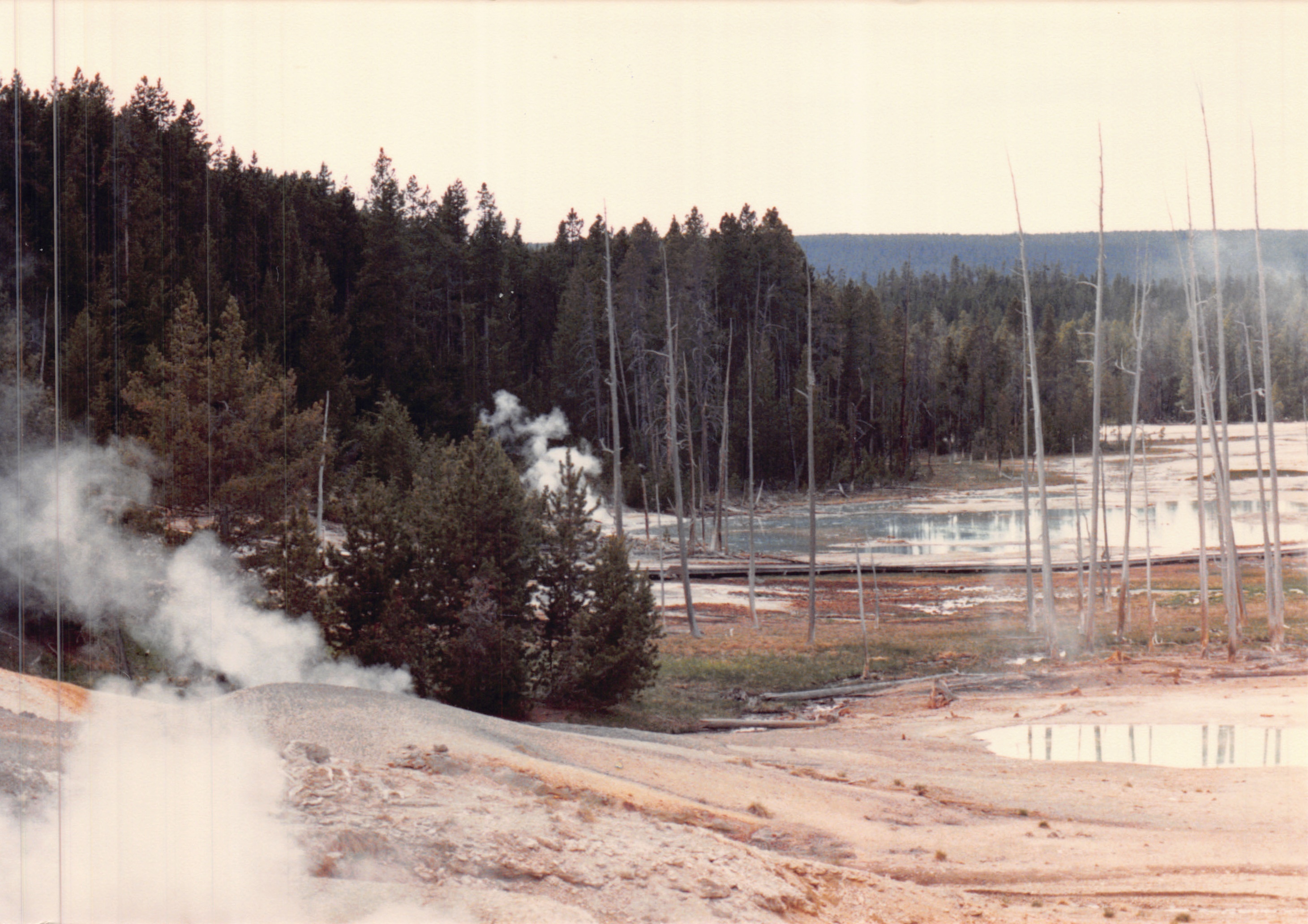 1988_233.jpg
