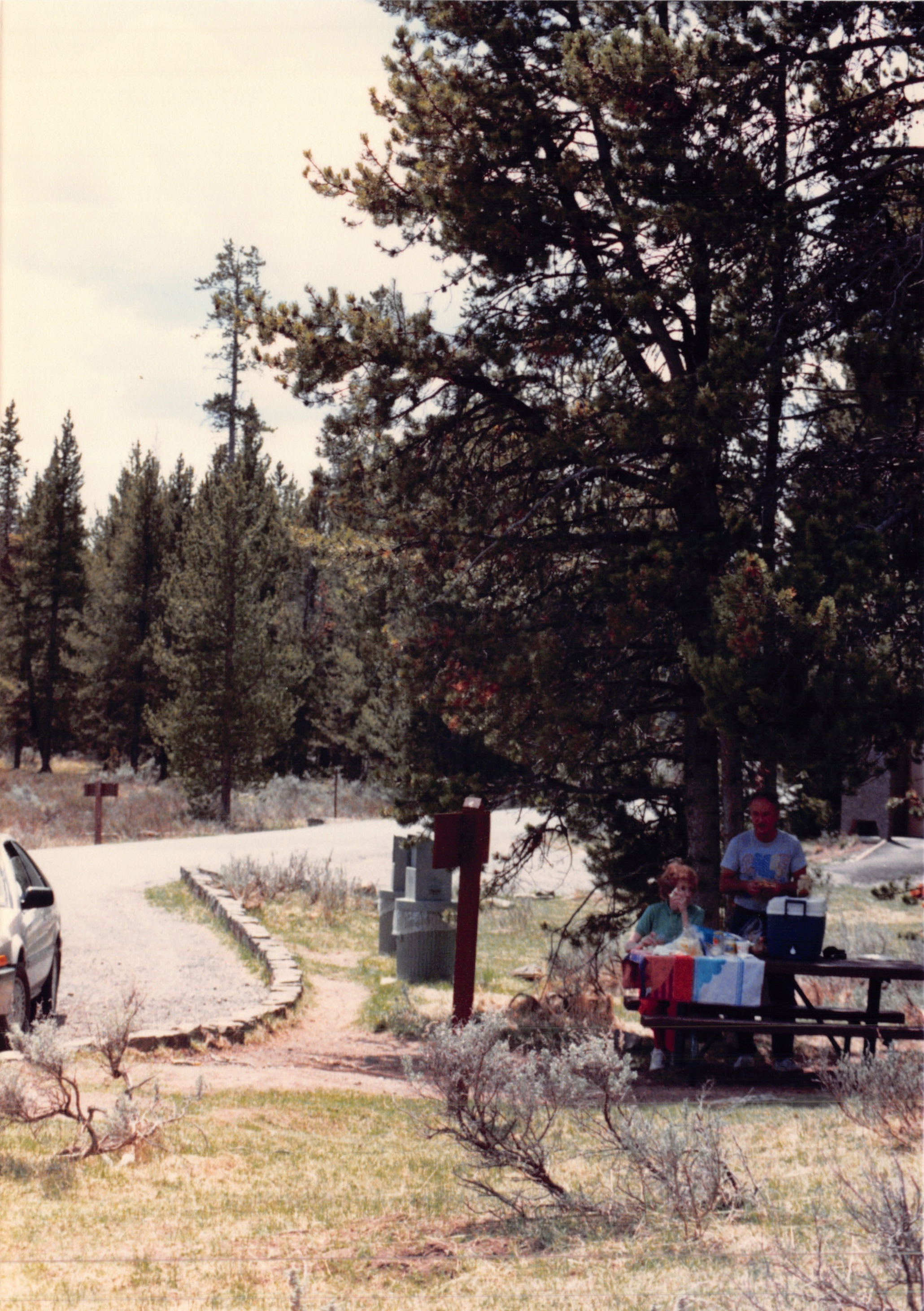 1988_235.jpg