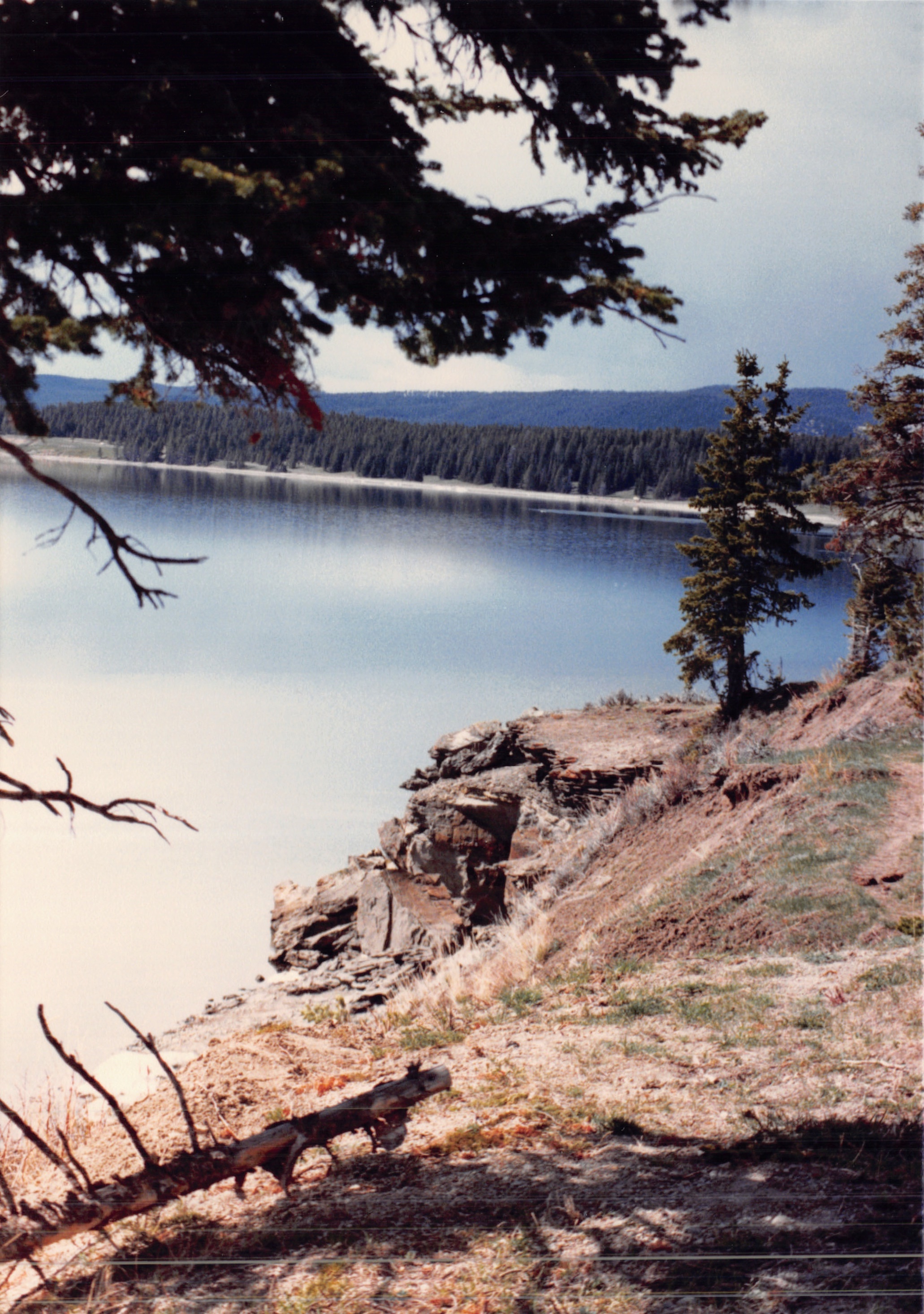 1988_239.jpg