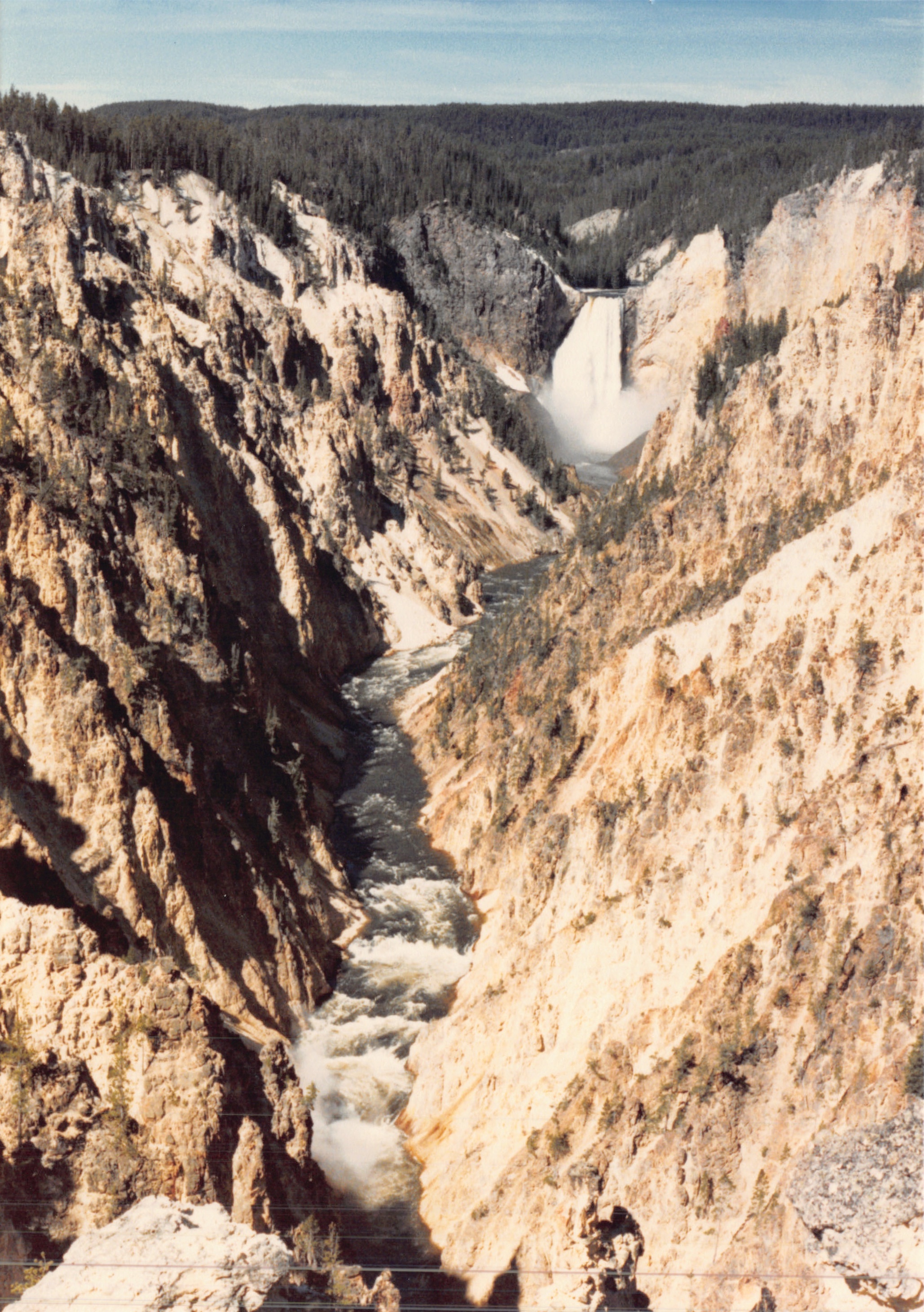 1988_241.jpg