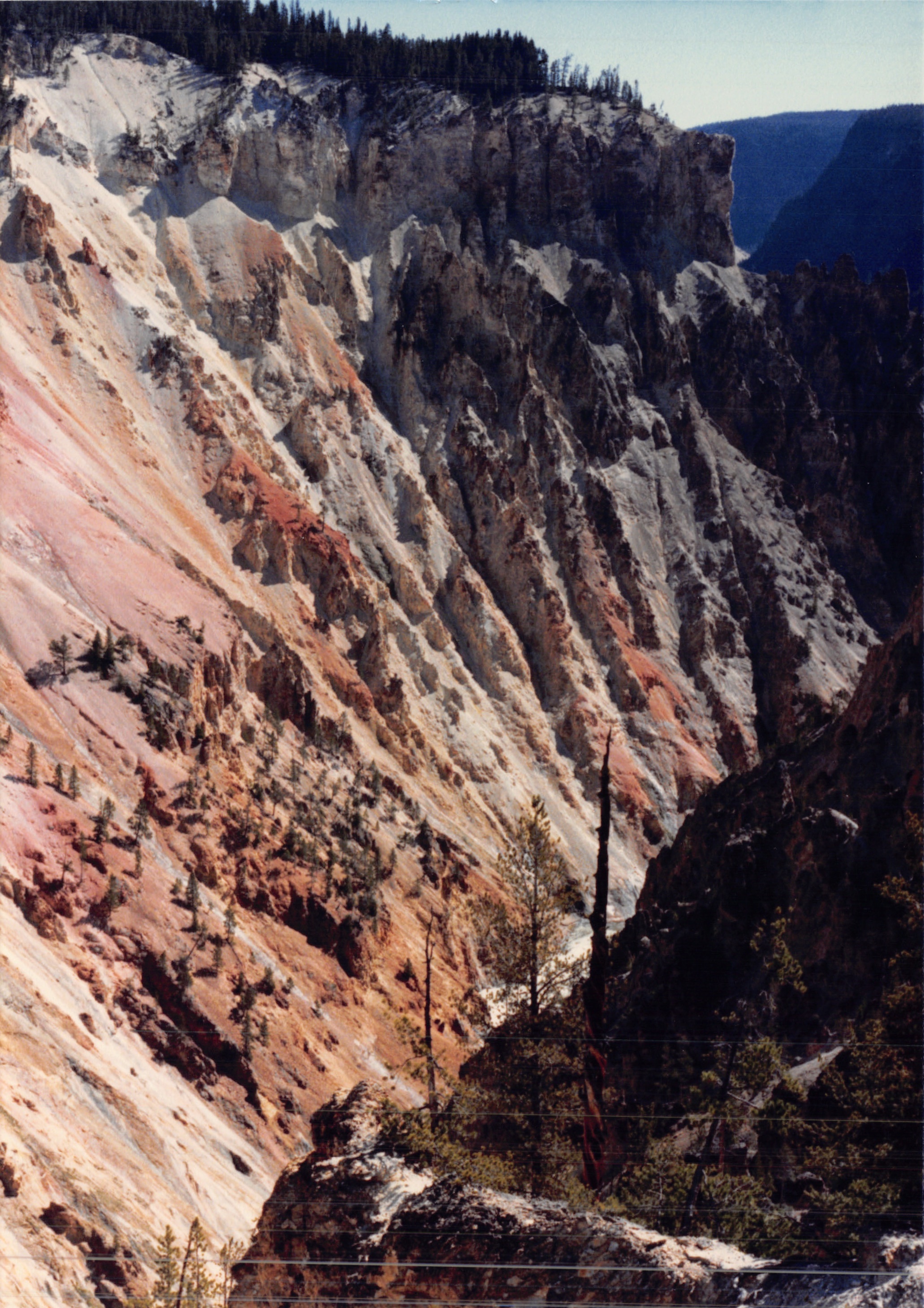 1988_242.jpg