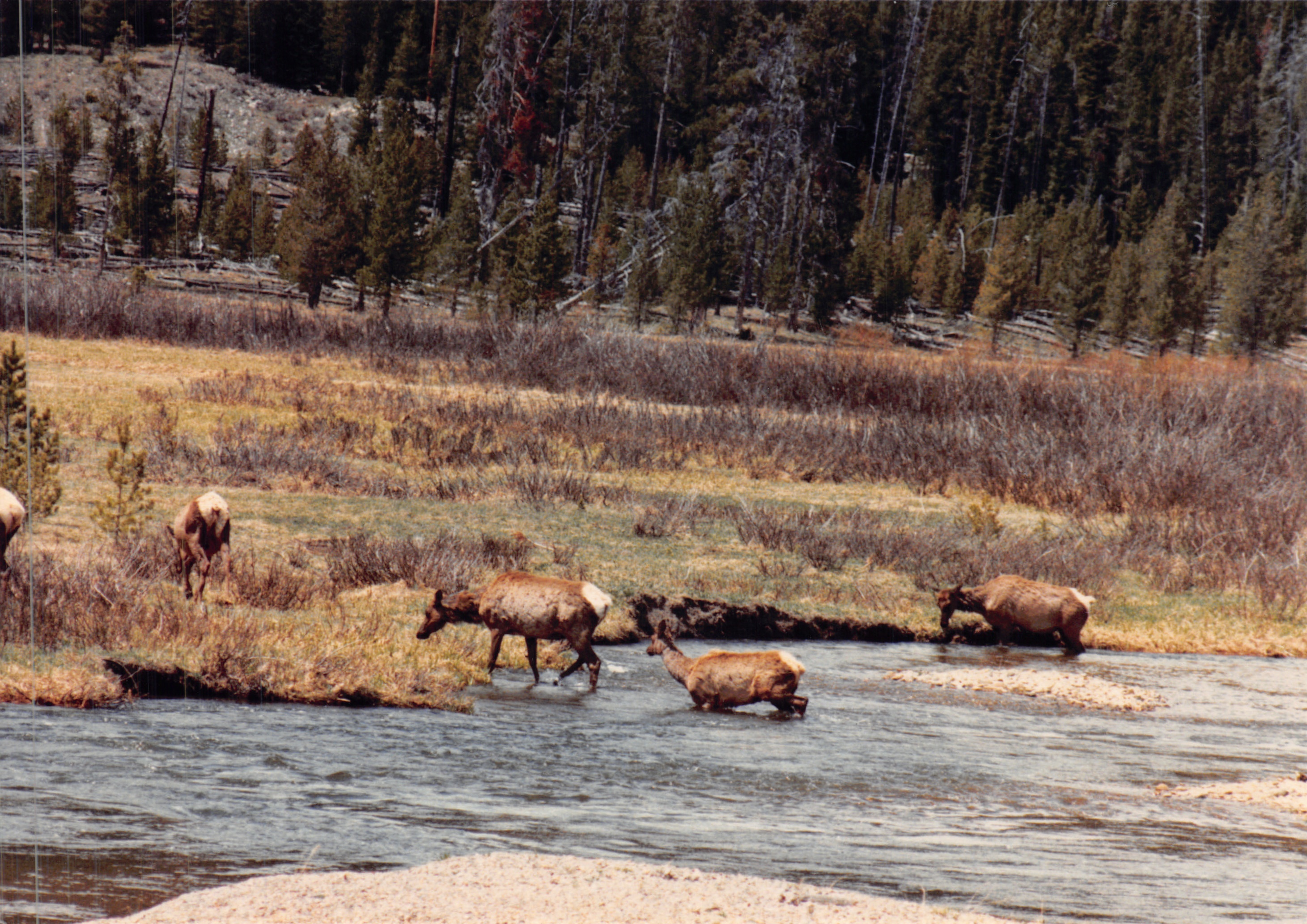 1988_244.jpg
