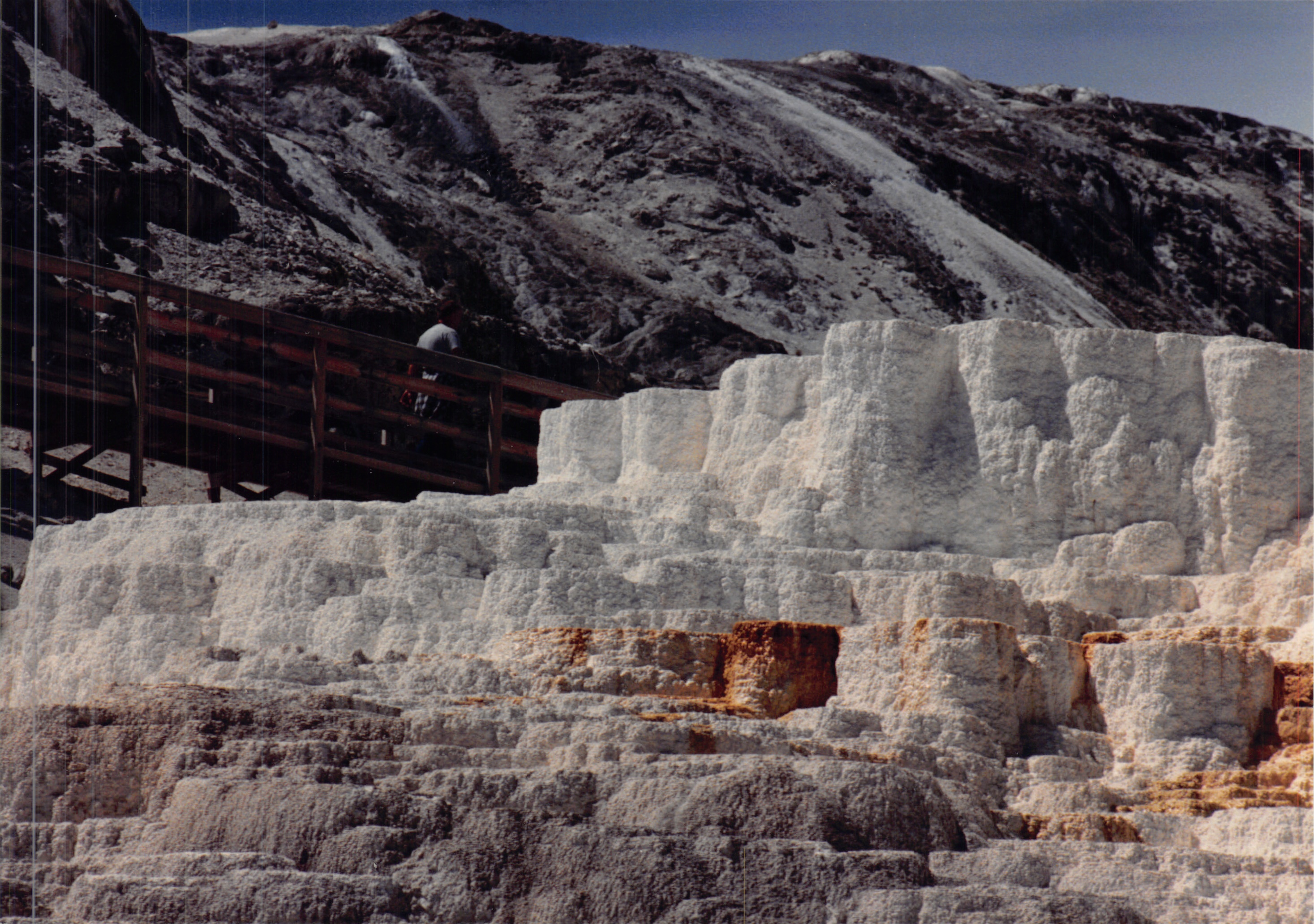 1988_249.jpg
