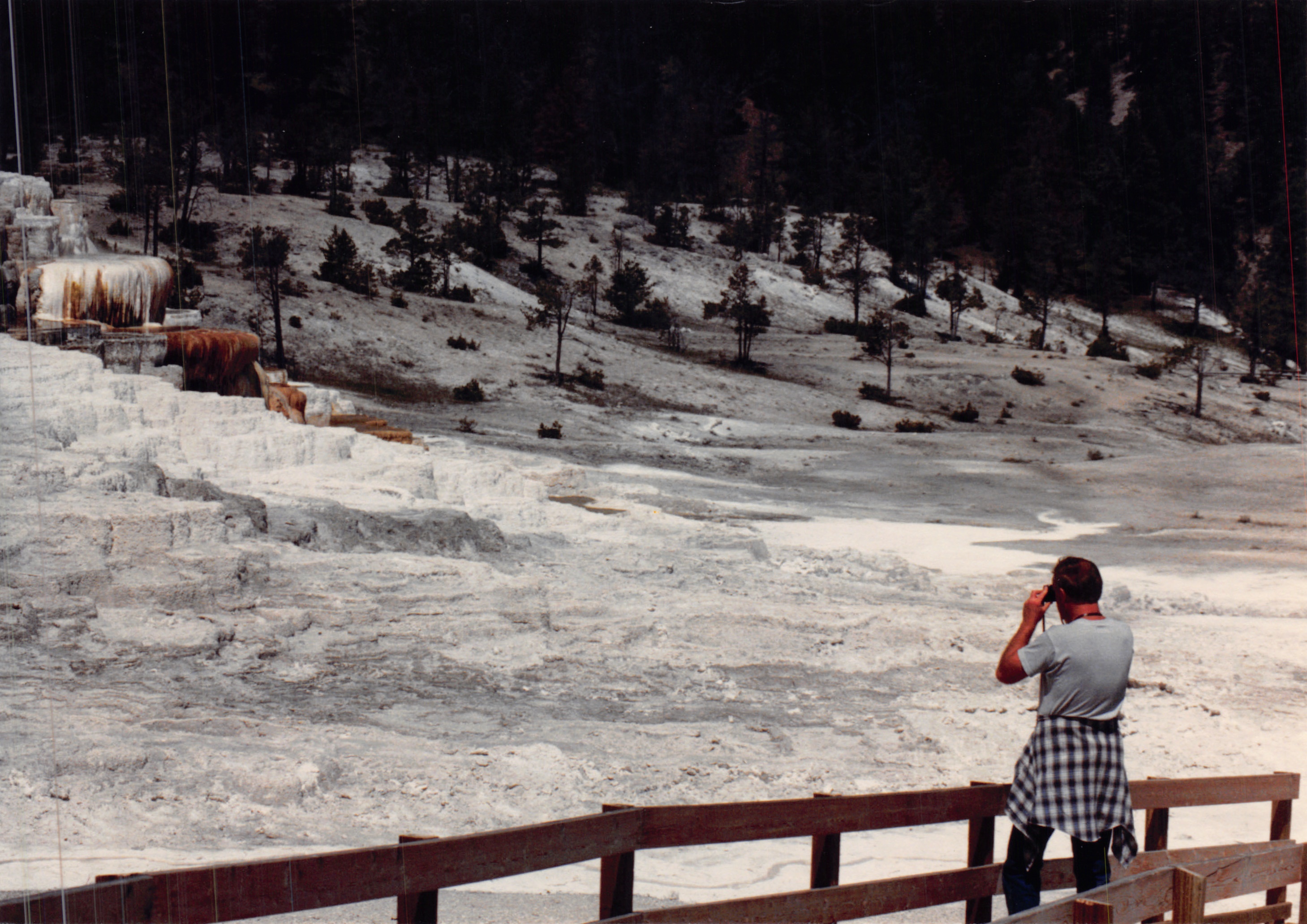 1988_250.jpg