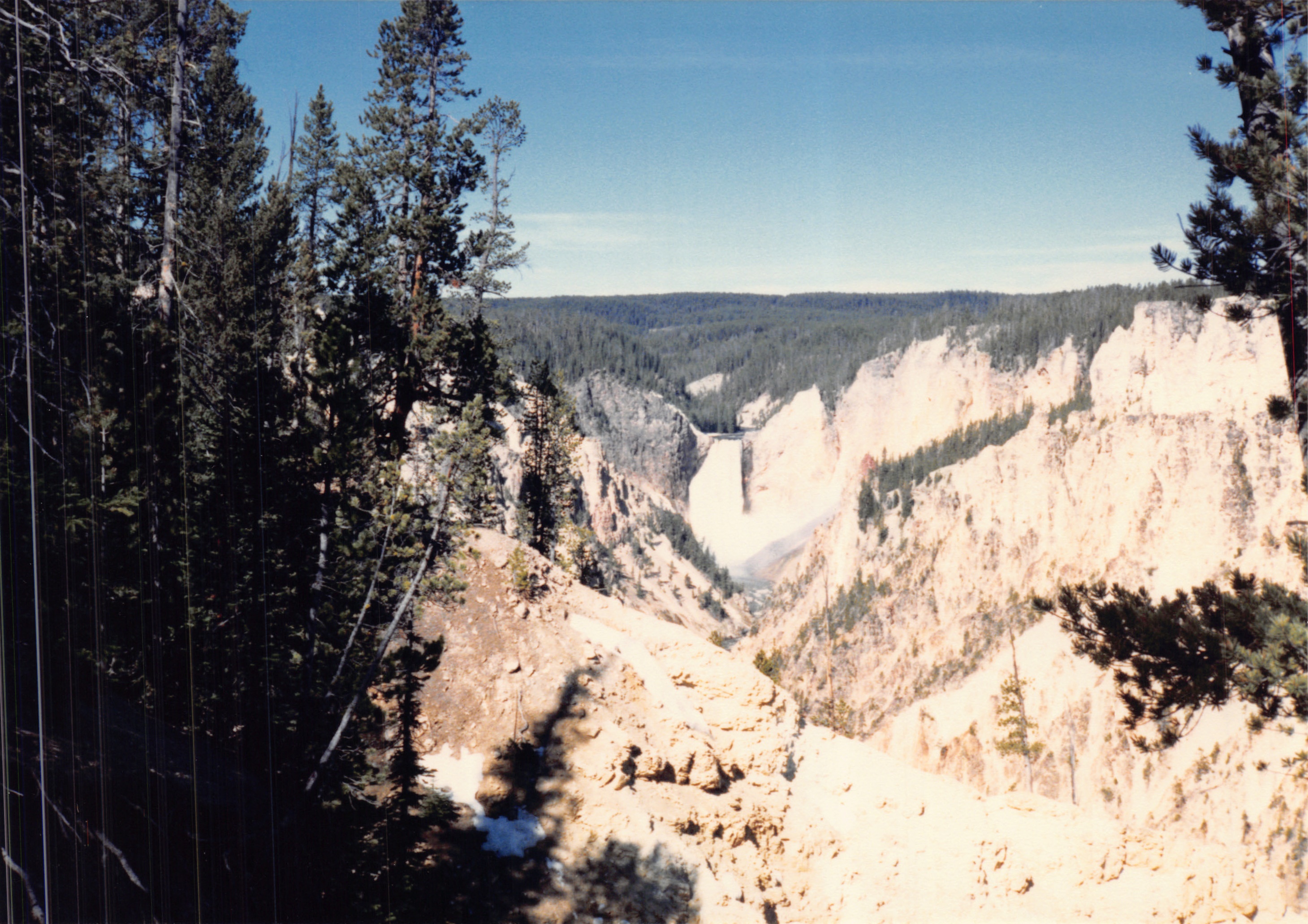 1988_251.jpg