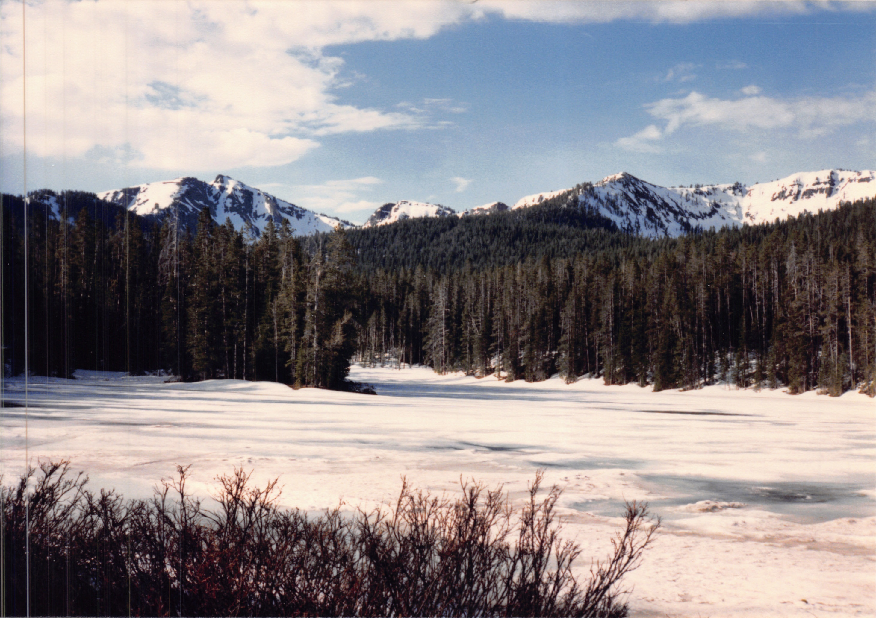 1988_252.jpg