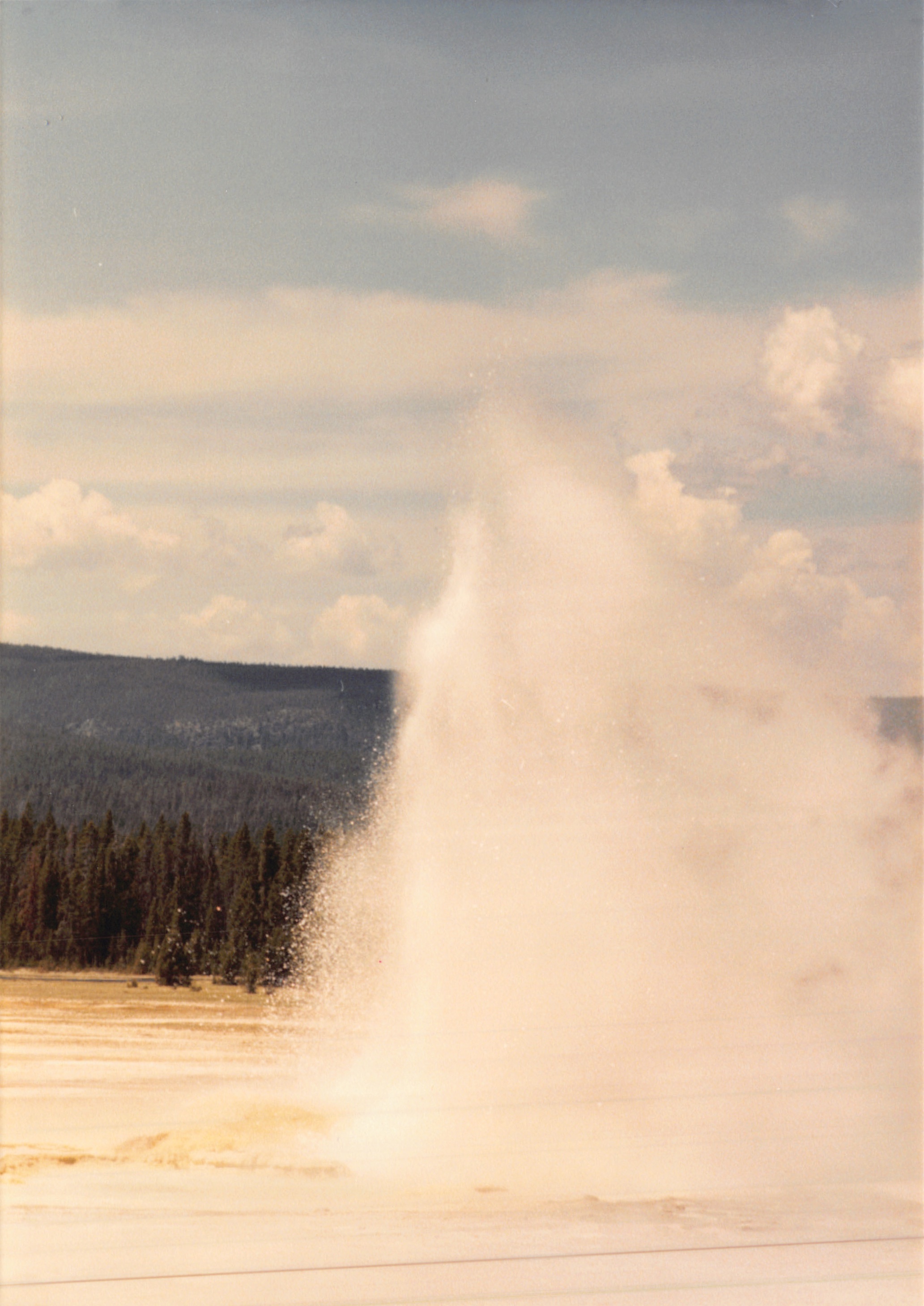 1988_254.jpg