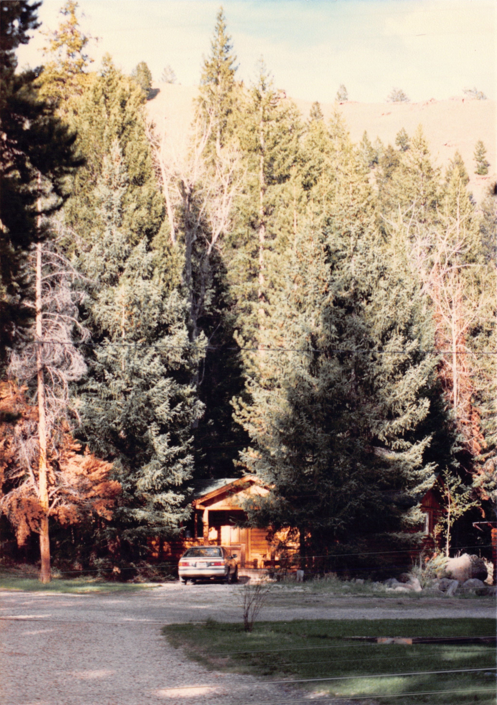 1988_255.jpg