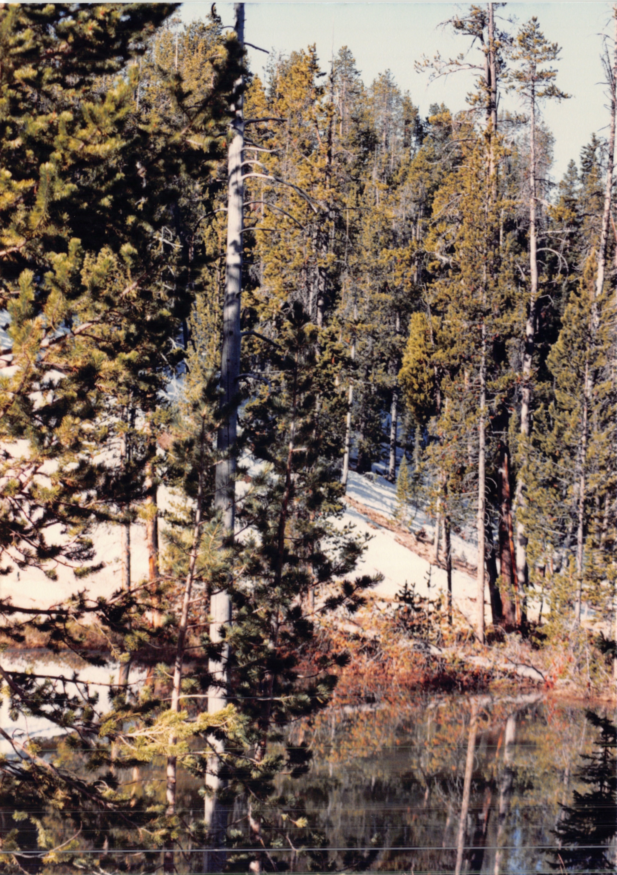 1988_259.jpg