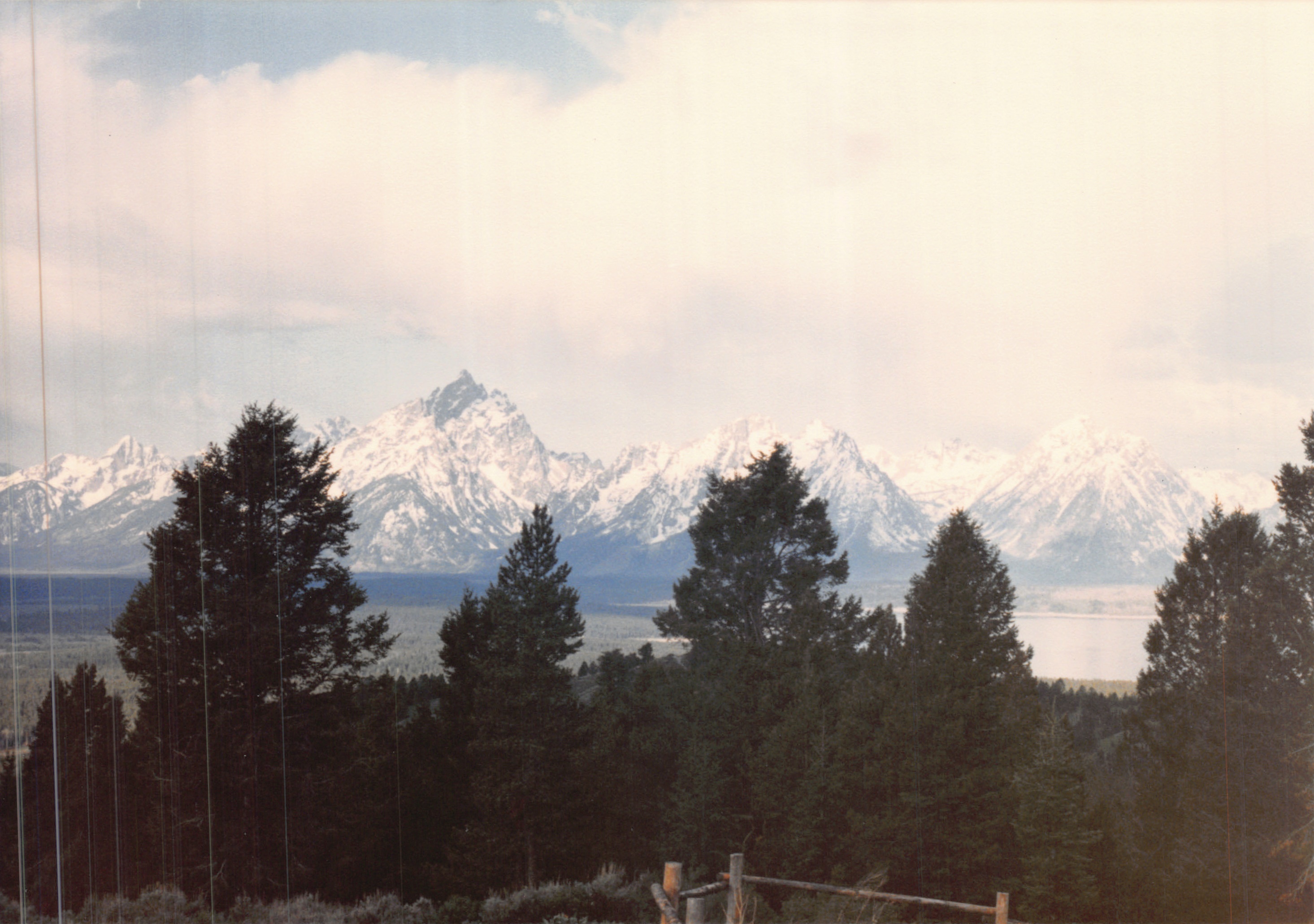 1988_262.jpg