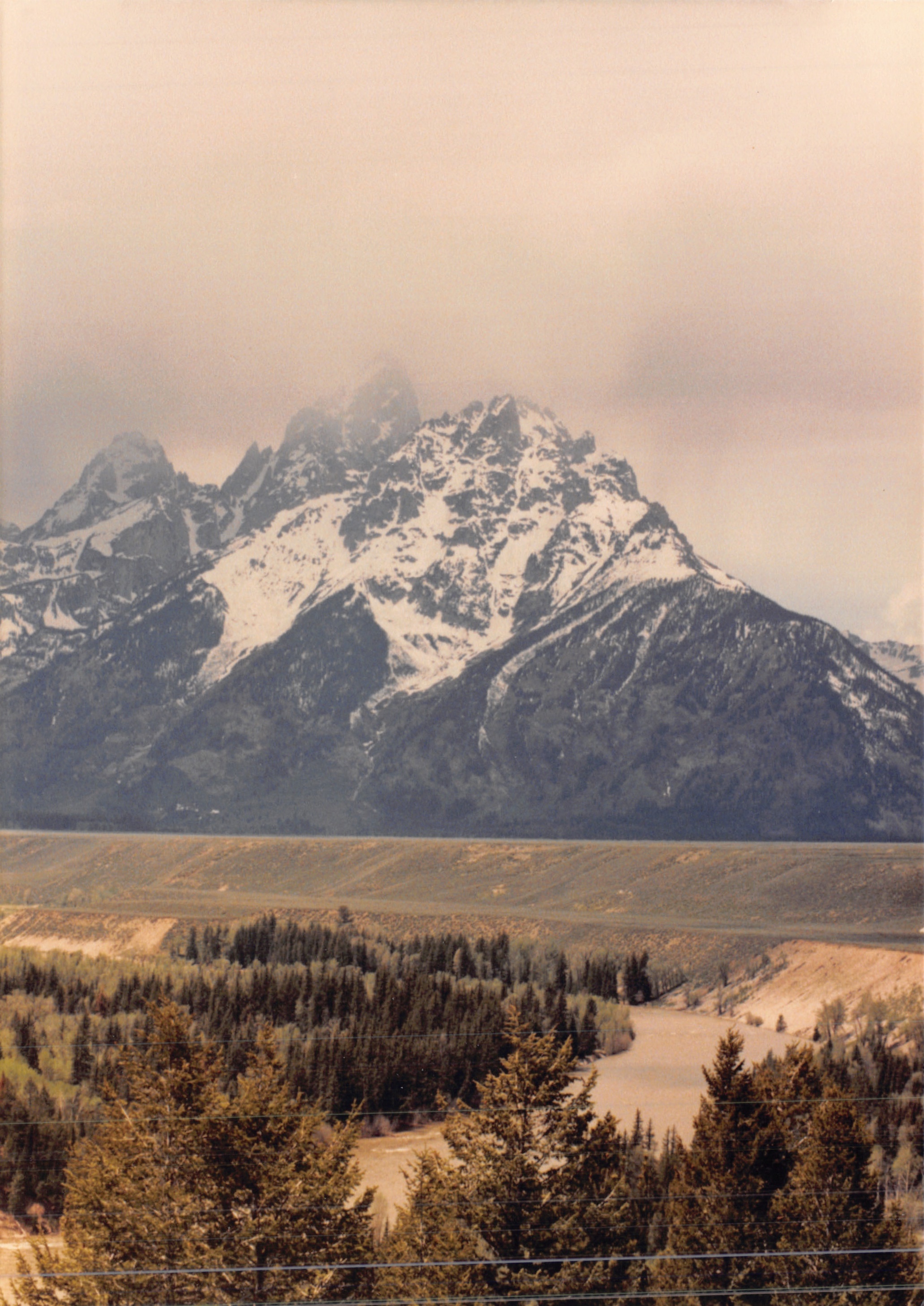 1988_264.jpg