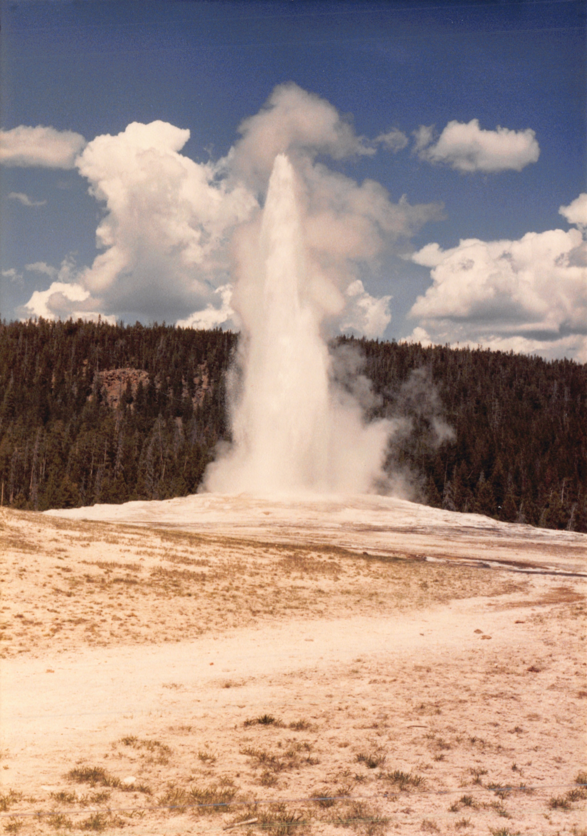 1988_271.jpg