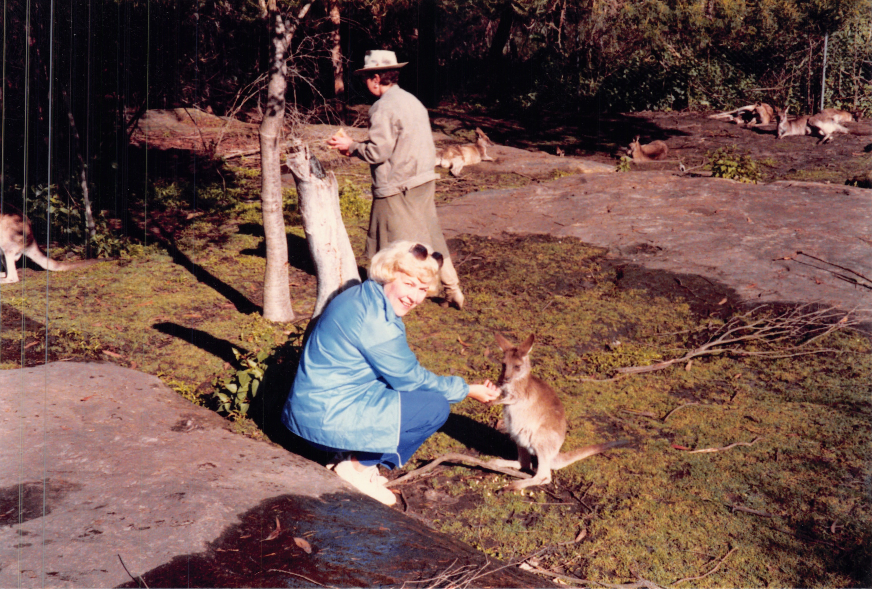 1988_279.jpg