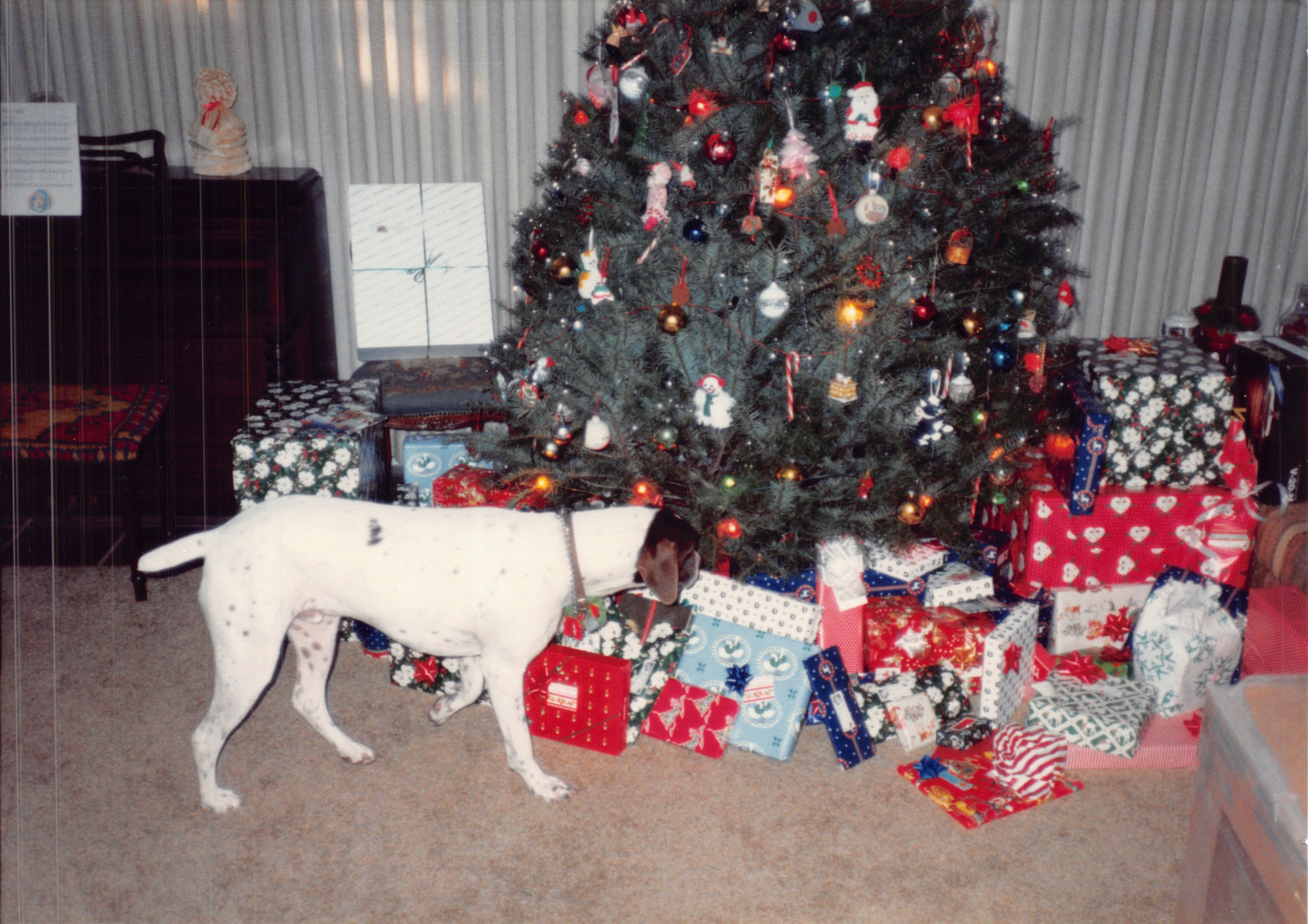 1988_364.jpg
