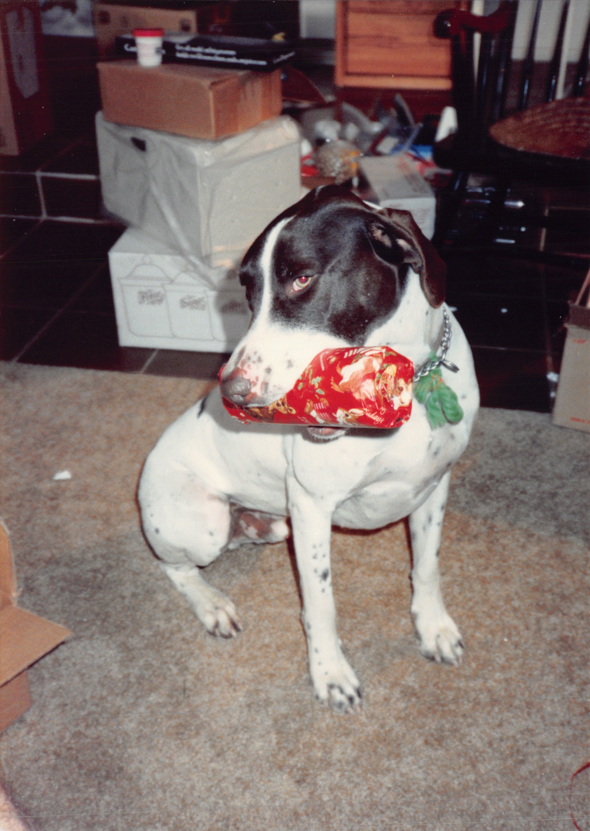 1988_374.jpg