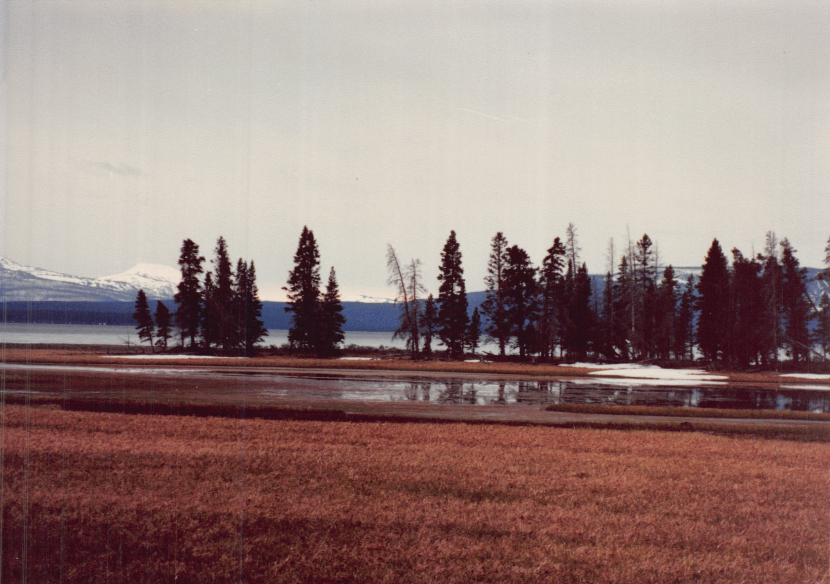 1990_0296.jpg