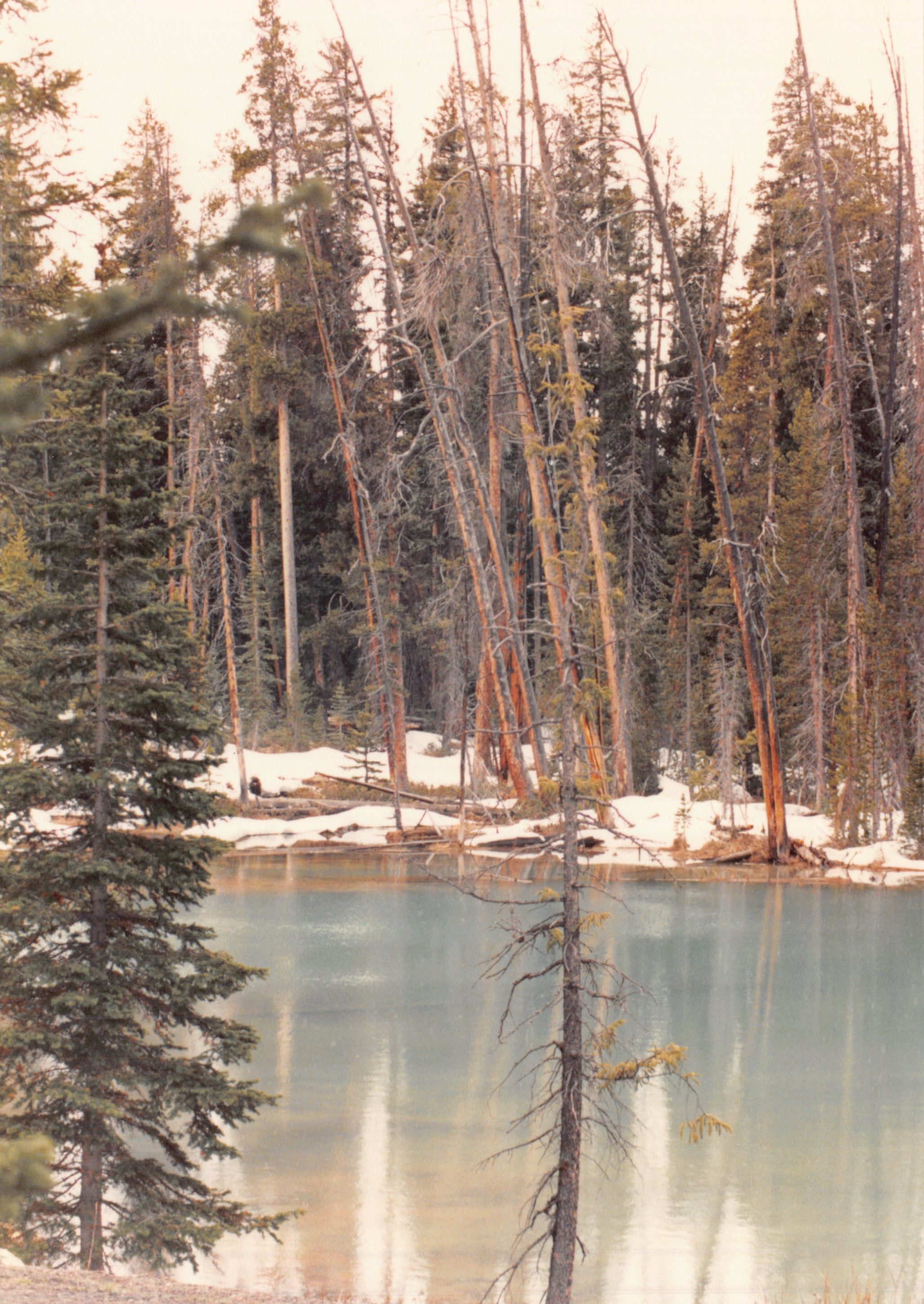 1990_0300.jpg